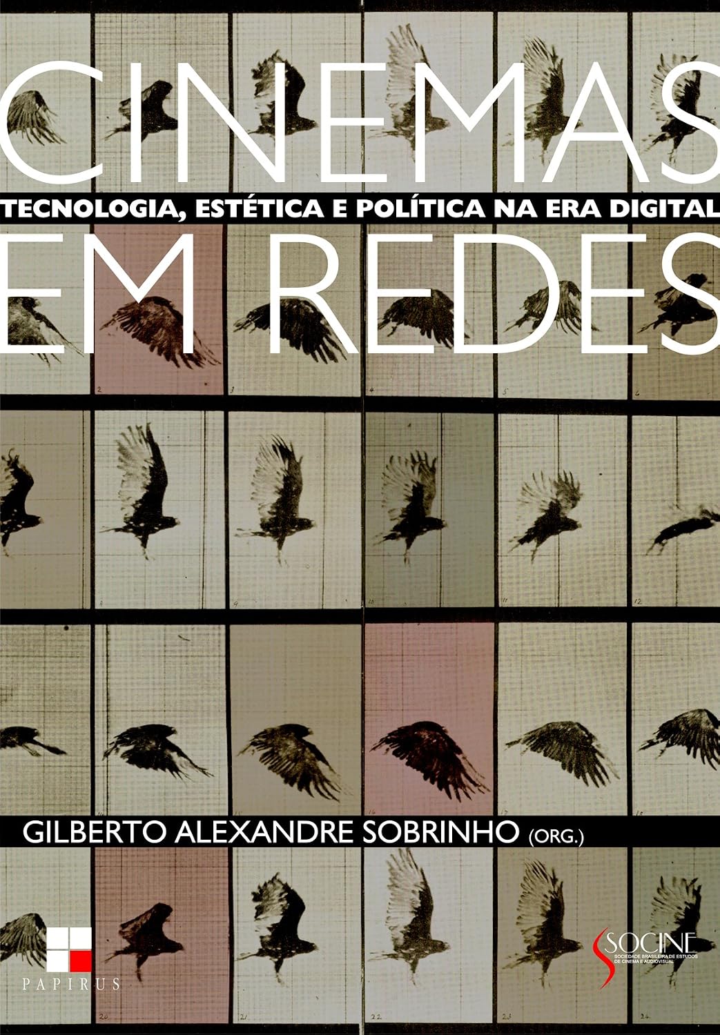capítulo por capítulo baixar Cinemas em Redes. Tecnologia, Estética e Política na Era Digital