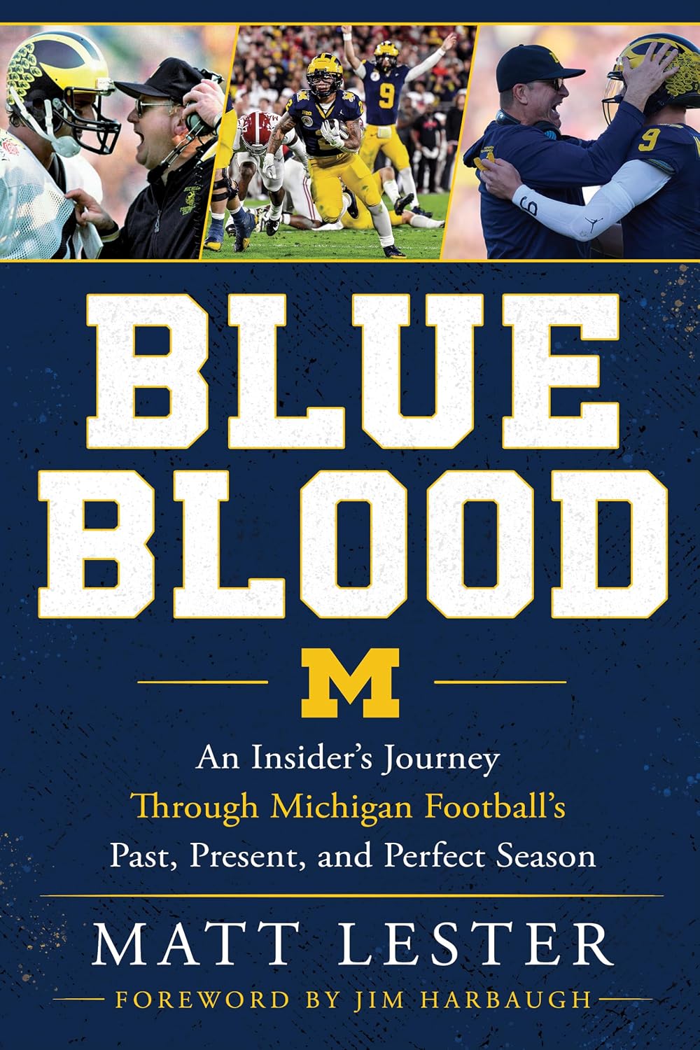 Blue Blood: An Insider’s Journey Through Michigan Football’s Past, Present, and Perfect Season (English Edition) baixar livro de graça