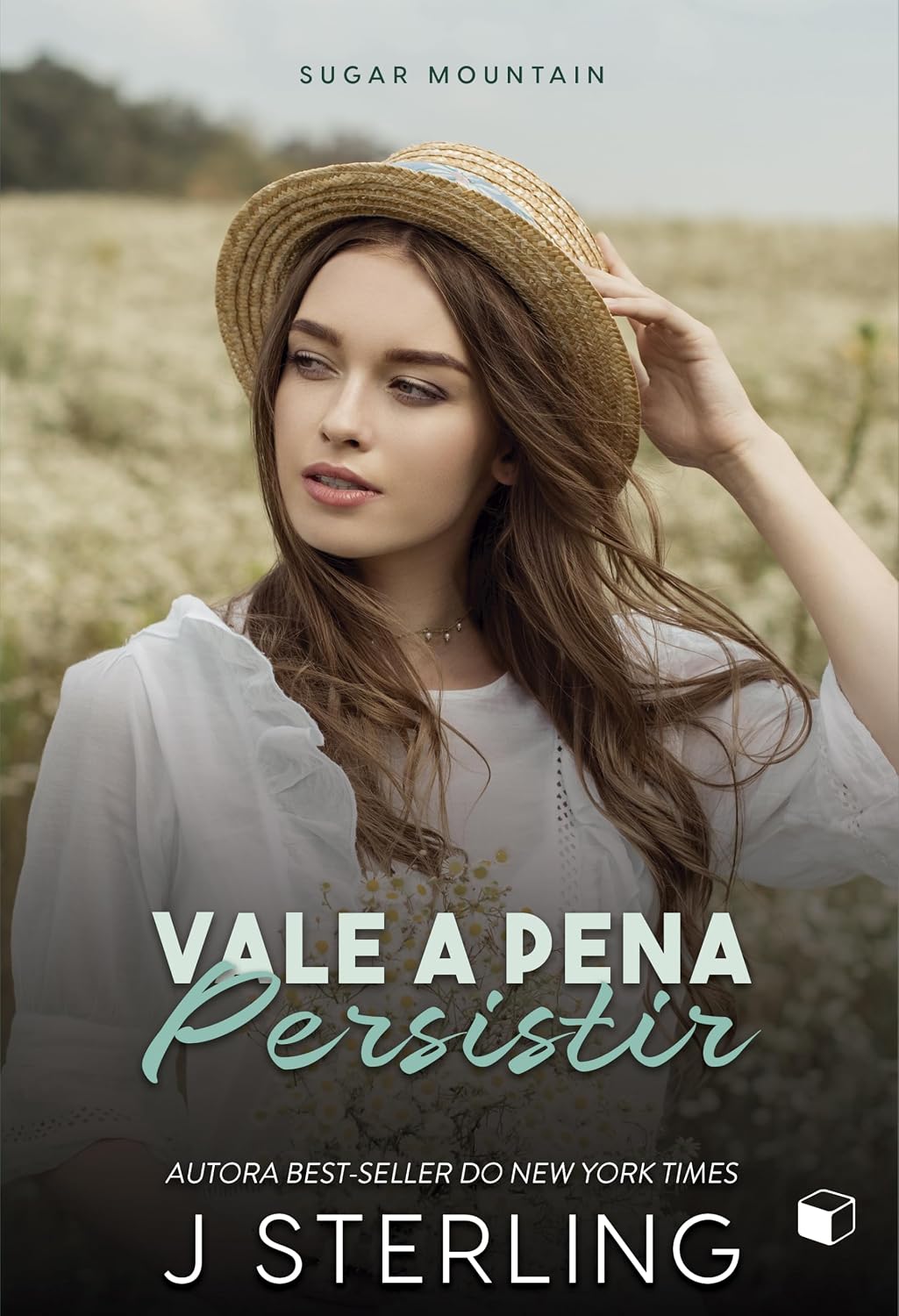 Vale a pena persistir (Sugar Mountain Livro 3)