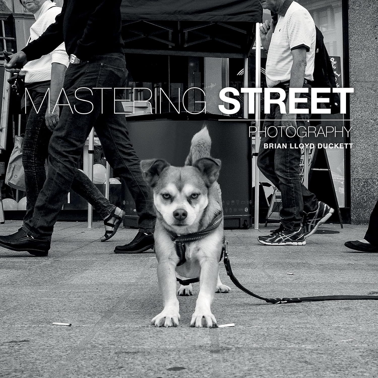 ler totalmente Mastering Street Photography