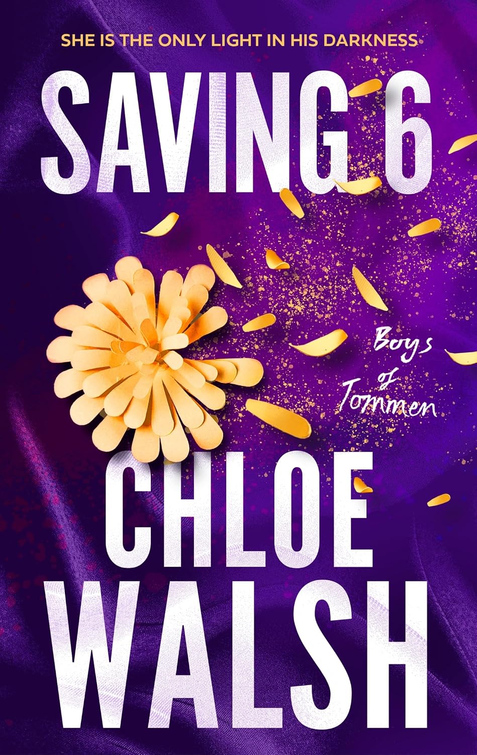 Saving 6: Epic, emotional and addictive romance from the TikTok phenomenon (The Boys of Tommen) (English Edition) baixar o livro de graça