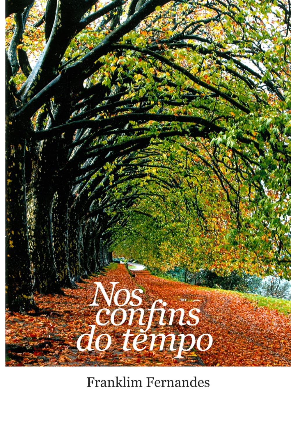 Nos confins do tempo (Portuguese Edition) baixar o livro de graça