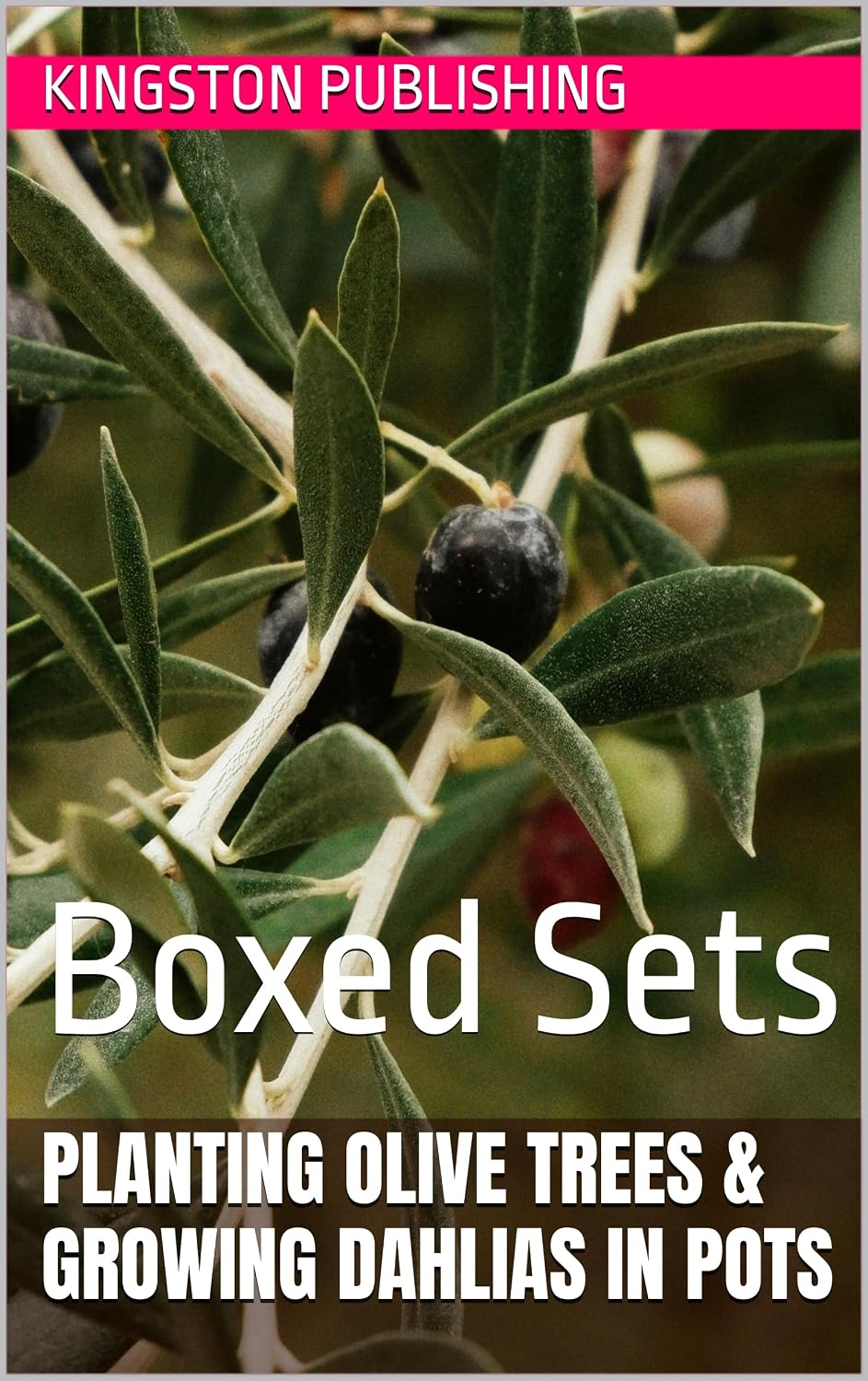 Planting Olive Trees & Growing Colorful Dahlias in Pots: Boxed Sets (Potted Fruit Gardening) (English Edition) baixar o livro de graça