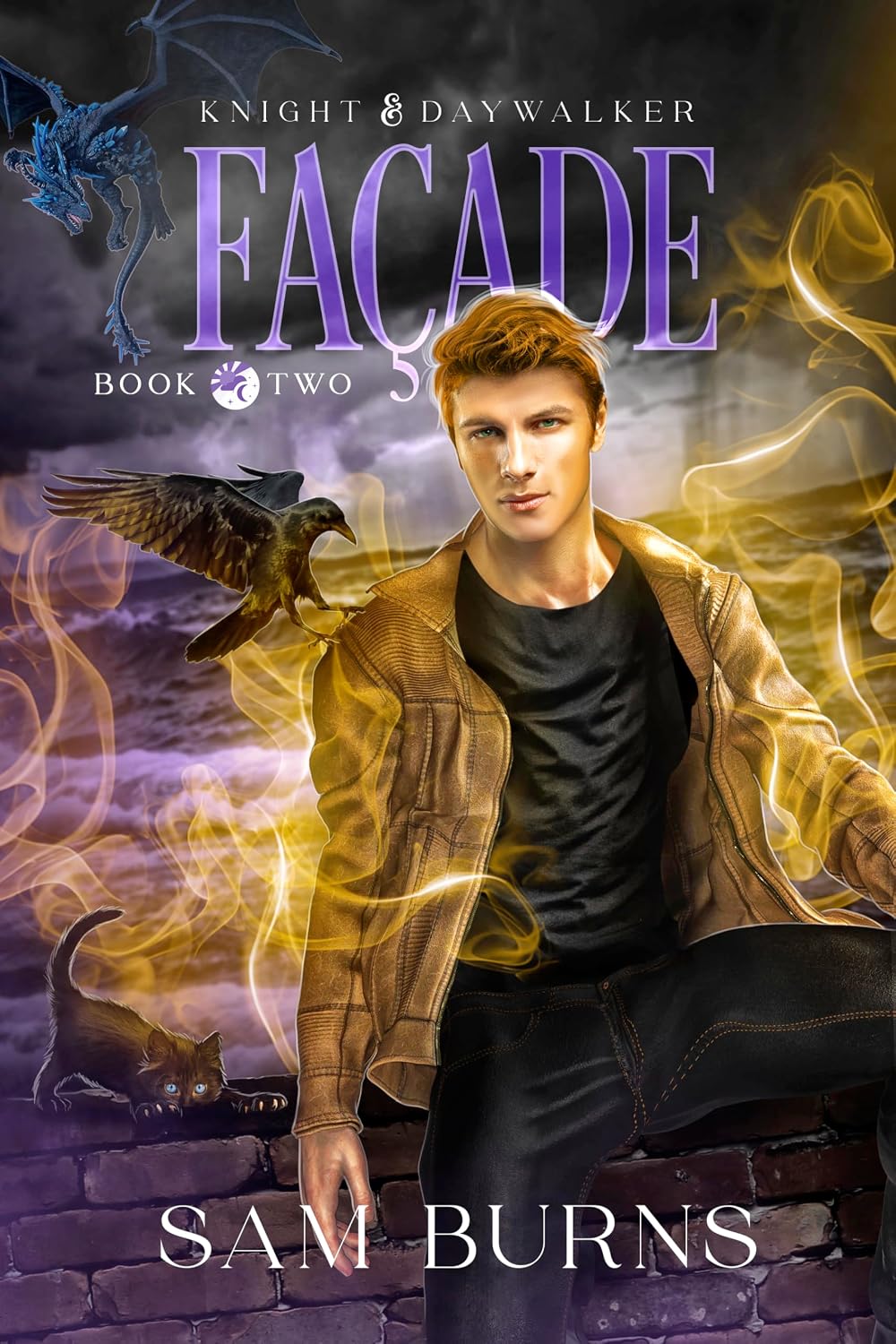 Façade (Knight & Daywalker Book 2) (English Edition) baixar livro de graça