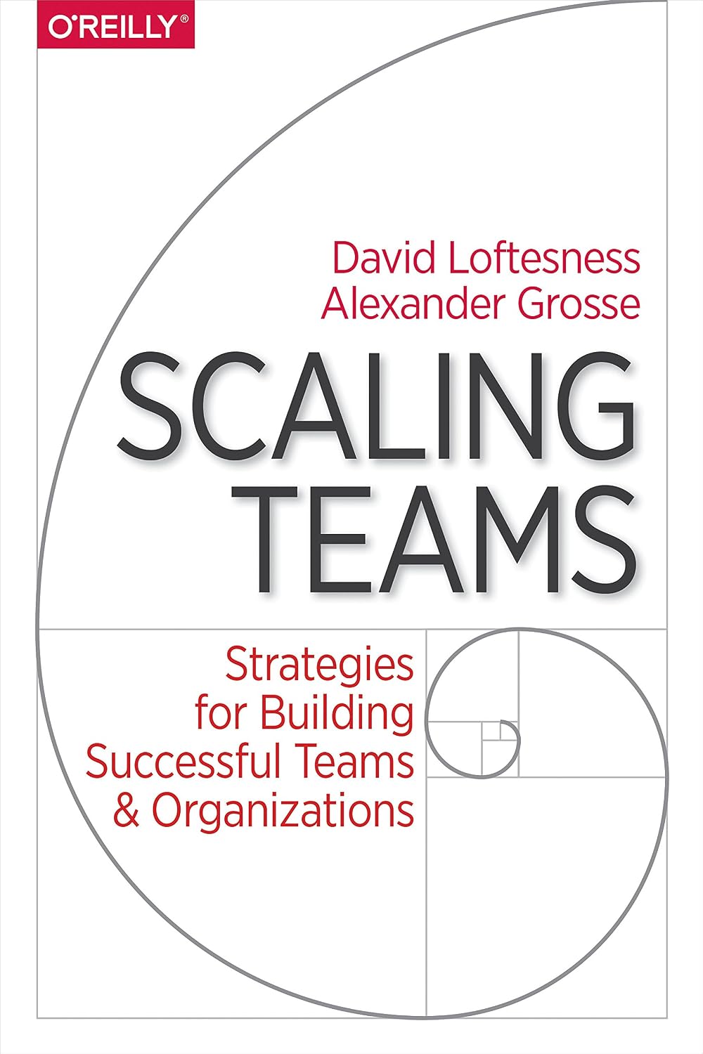 Scaling Teams: Strategies for Building Successful Teams and Organizations (English Edition) baixar o livro de graça