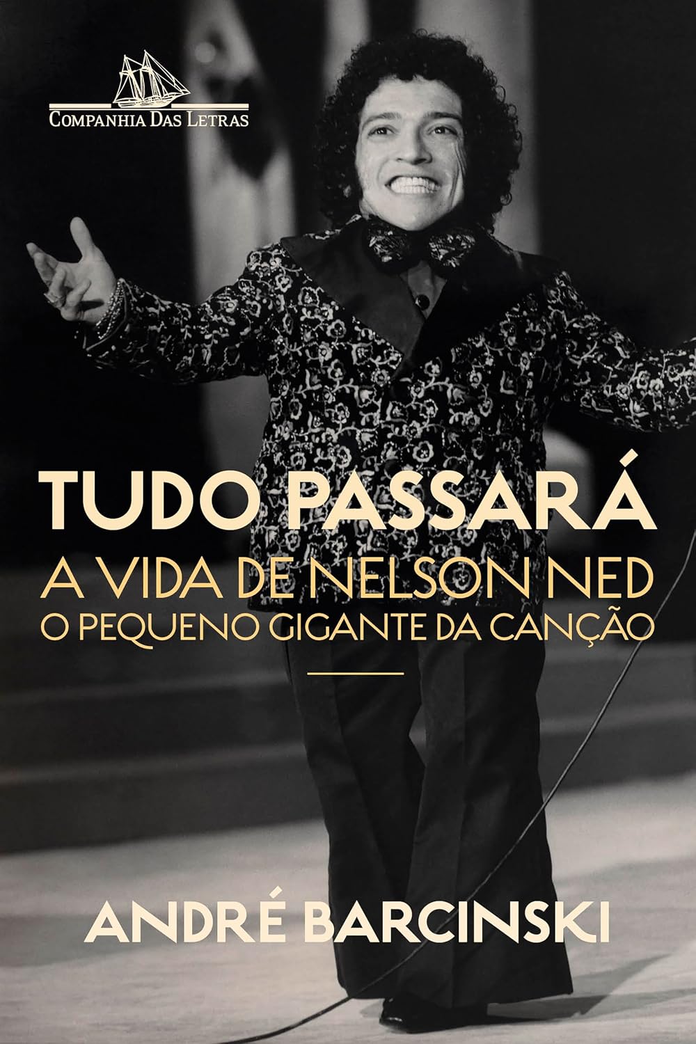capítulo por capítulo baixar Tudo passará: A vida de Nelson Ned, o Pequeno Gigante da Canção