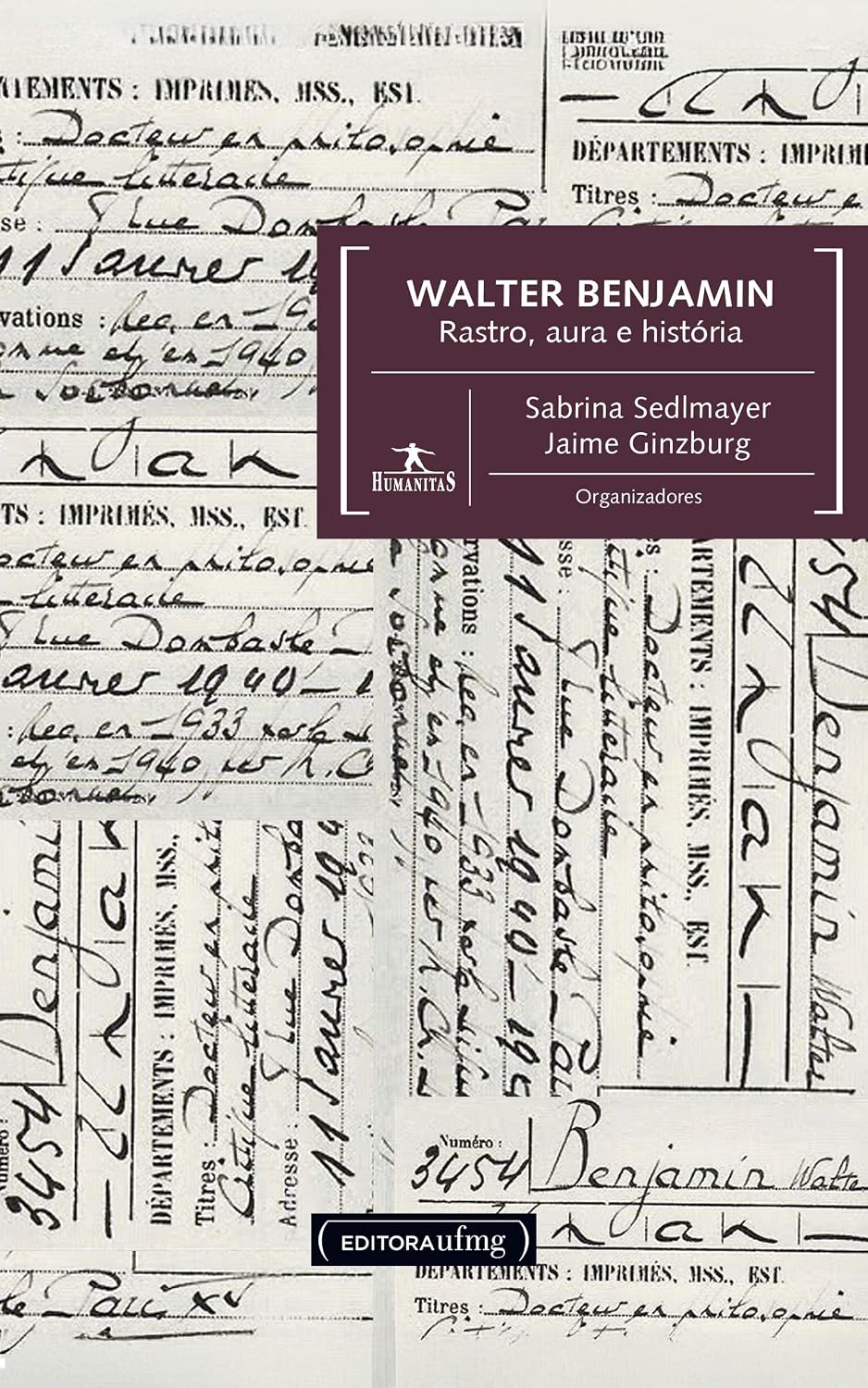 Walter Benjamin: Rastro, aura e história baixar o livro de graça