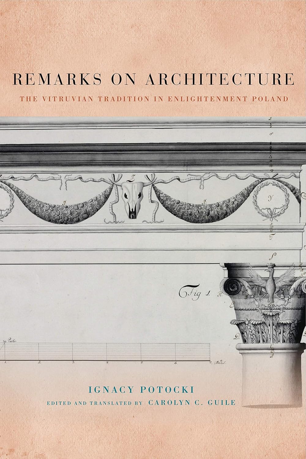 ler totalmente Remarks on Architecture: The Vitruvian Tradition in Enlightenment Poland (English Edition)