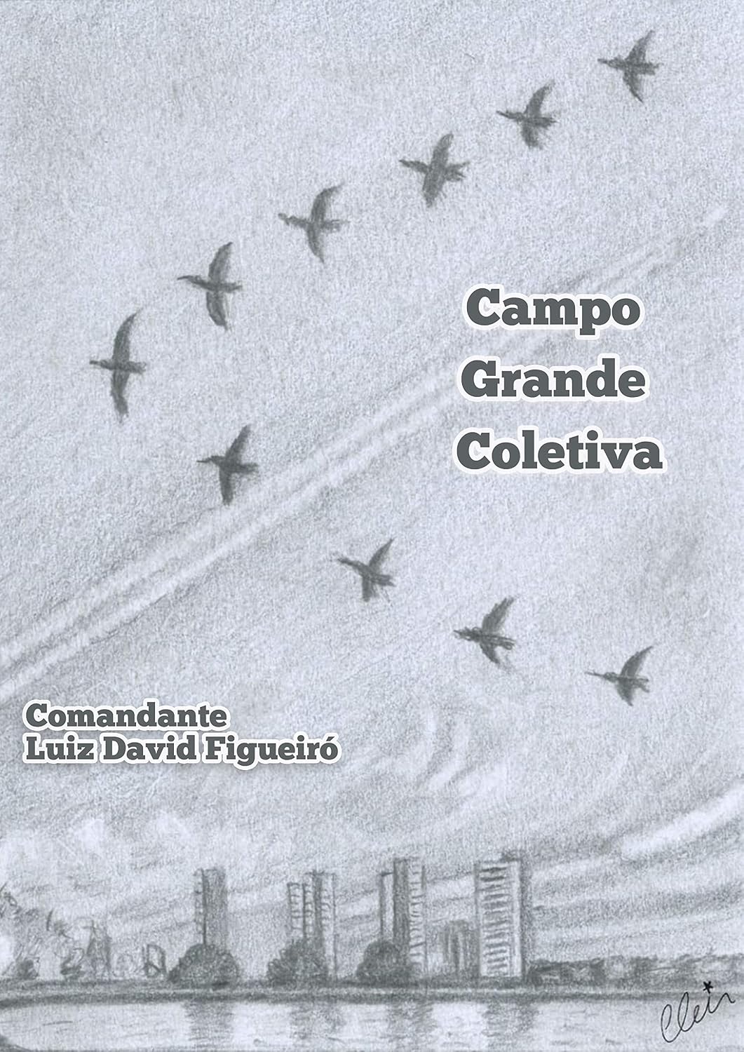 ler totalmente Campo Grande Coletiva: Comandante Luiz David Figueiró