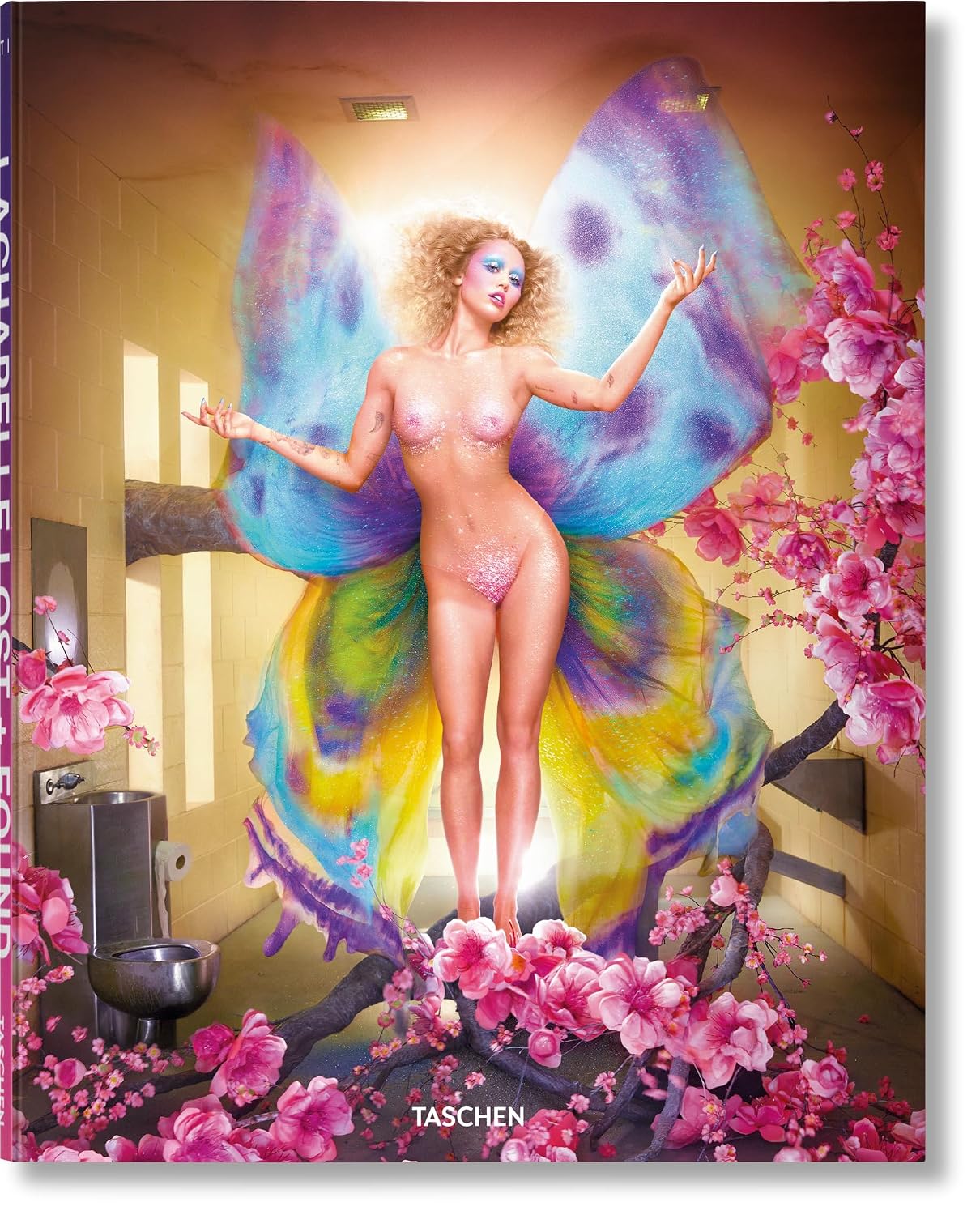 David Lachapelle. lost + found baixar o livro de graça