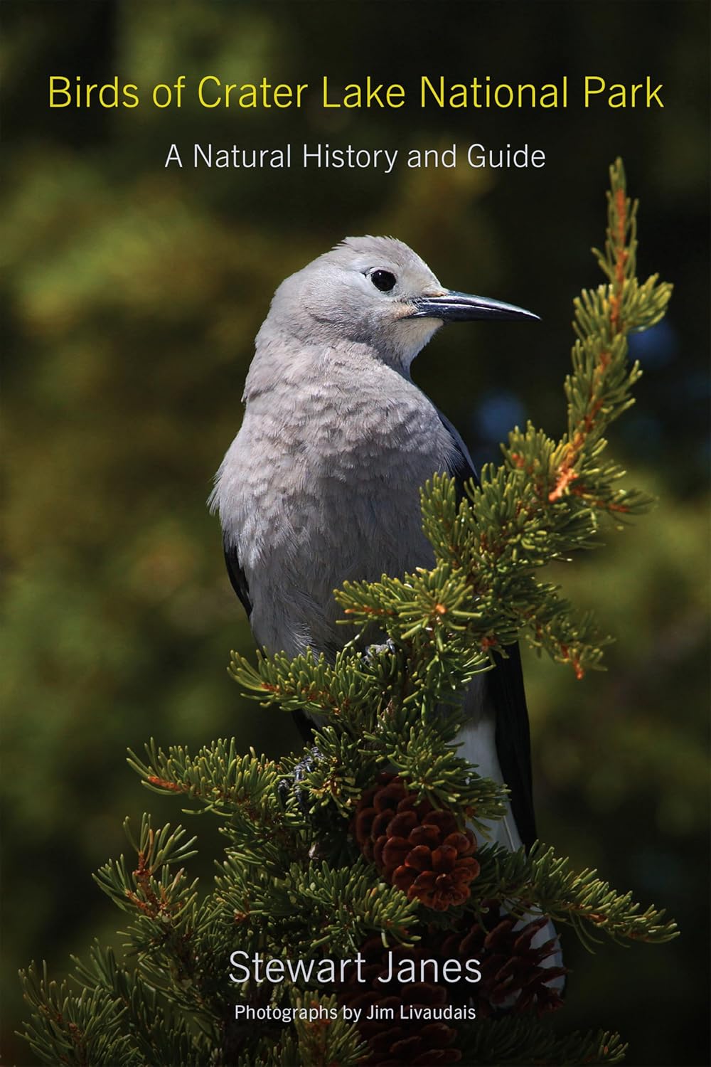 Birds of Crater Lake National Park: A Natural History and Guide (English Edition) baixar o livro de graça