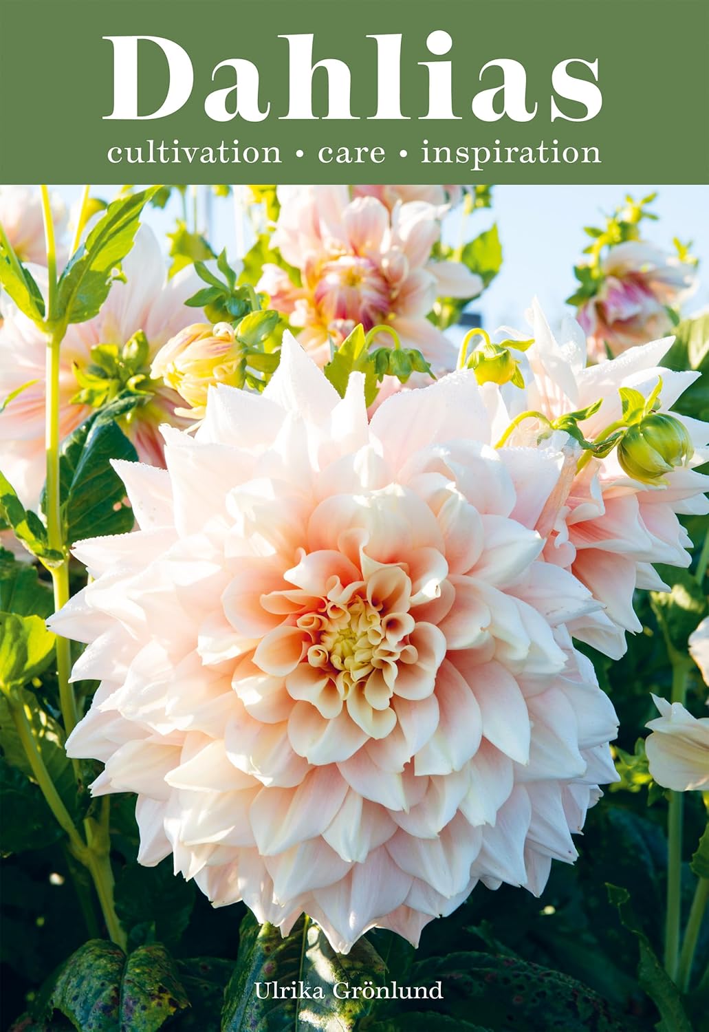 Dahlias: Inspiration, Cultivation and Care for 222 Varieties (English Edition)