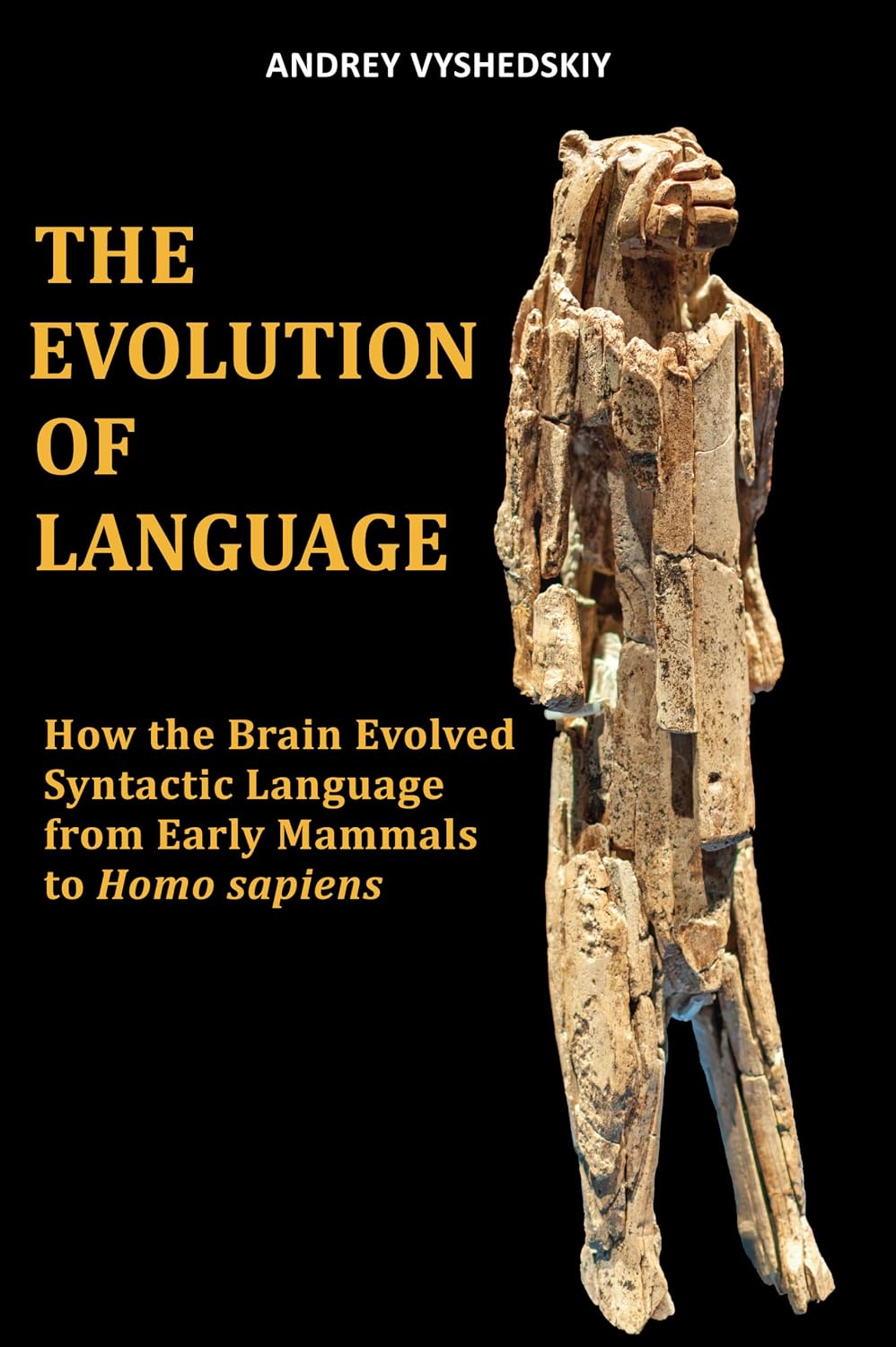 ler totalmente The Evolution of Language: How the Brain Evolved Syntactic Language from Early Mammals to Homo sapiens (English Edition)