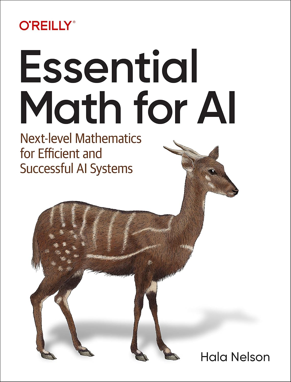 capítulo por capítulo baixar Essential Math for AI: Next-Level Mathematics for Efficient and Successful AI Systems