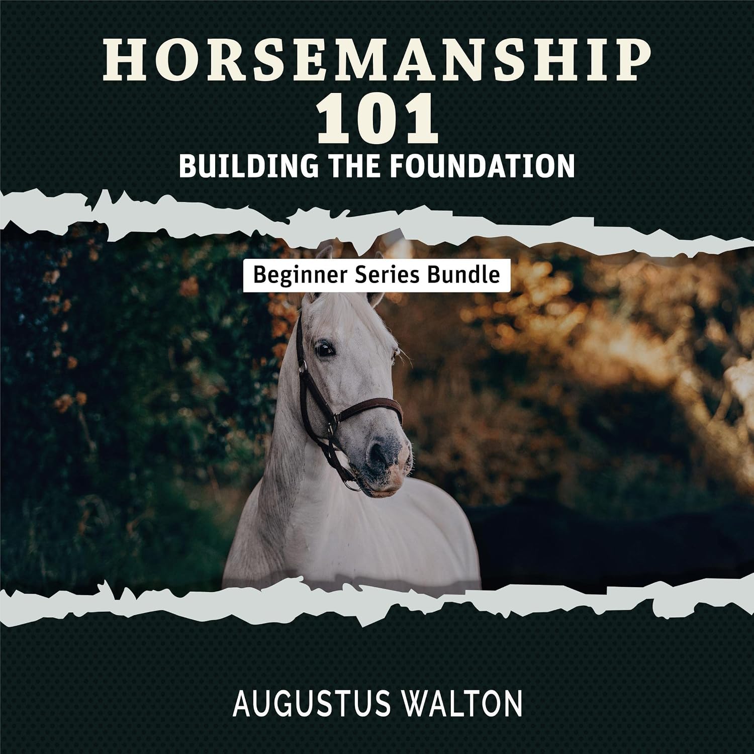 Horsemanship 101: Building the Foundation: Beginner Horsemanship Series baixar livro de graça