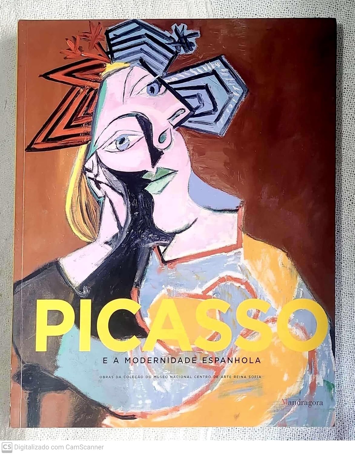 Picasso e a Modernidade Espanhola baixar o livro de graça