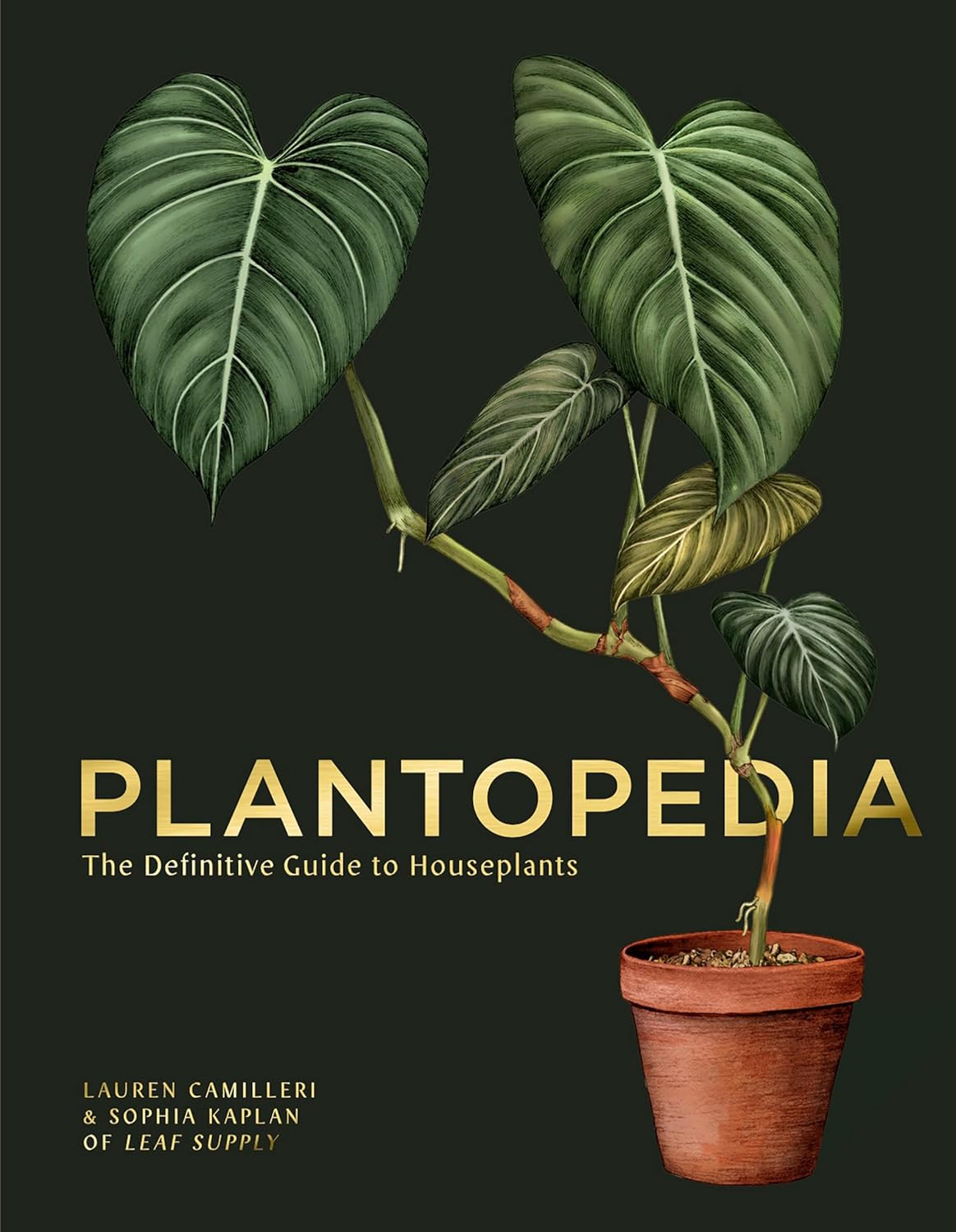 Plantopedia: The Definitive Guide to Houseplants baixar o livro de graça