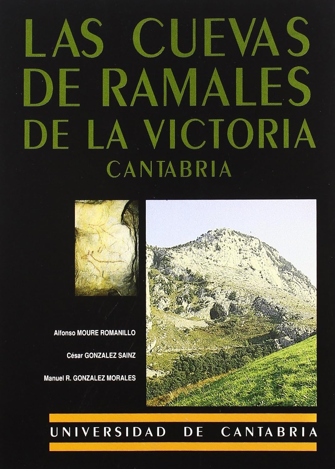 Las cuevas de Ramales de la Victoria: Arte Rupestre Paleolitico En Las Cuevas de Covalanas y La Haza baixar o livro de graça