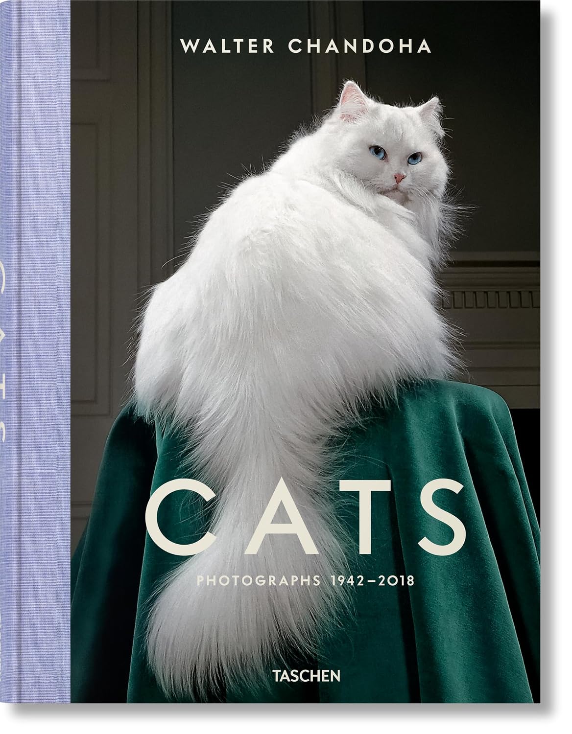 Cats - photographs 1942-2018