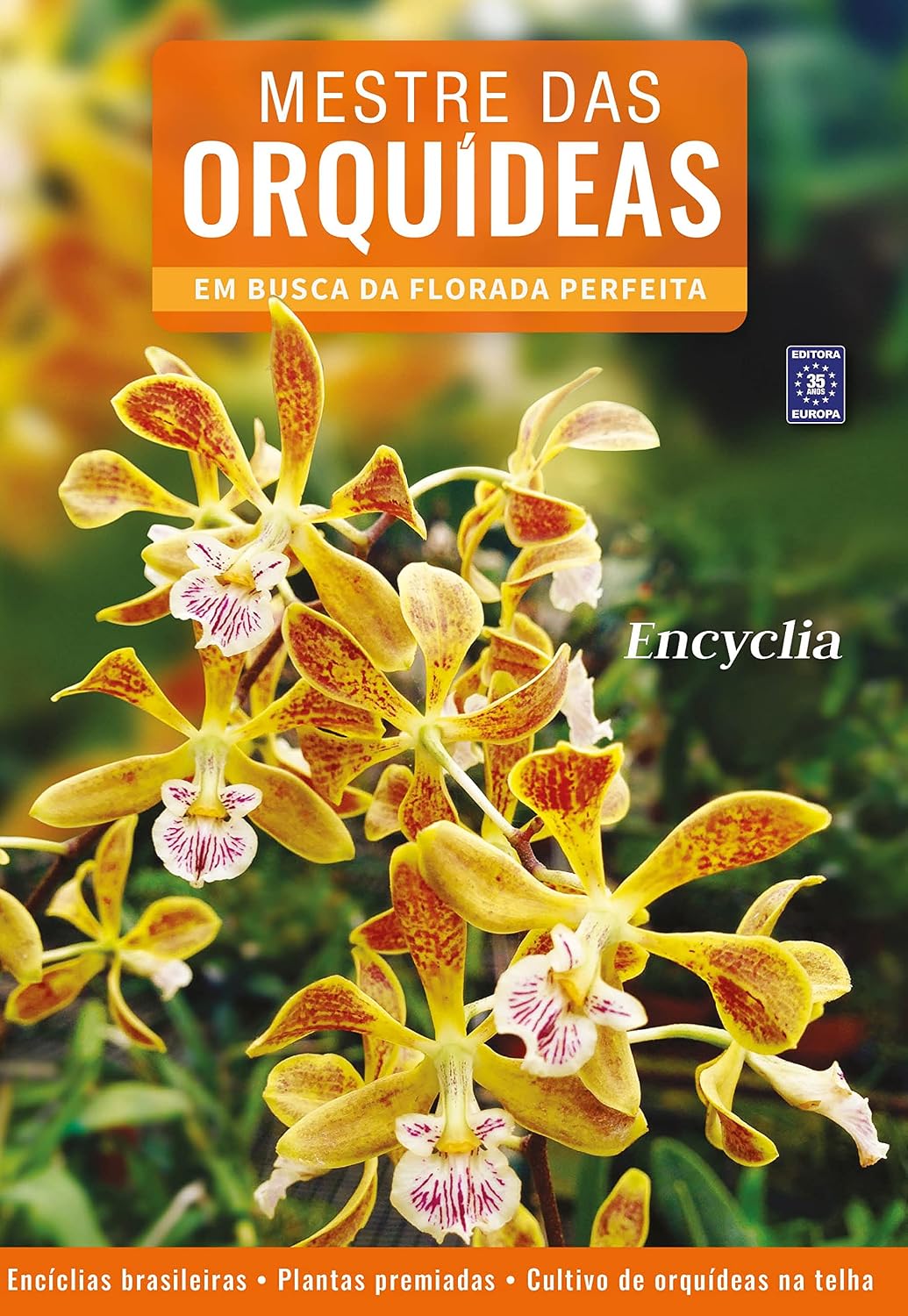 Mestre das Orquídeas - Volume 7: Encylia