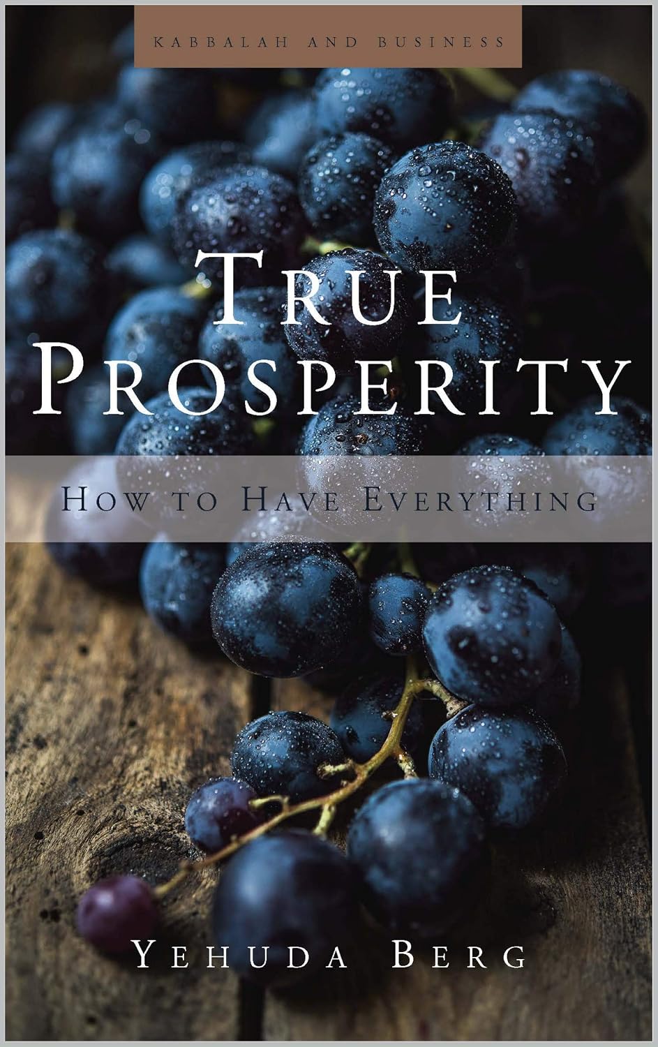 True Prosperity: How to Have Everything (English Edition) baixar livro de graça