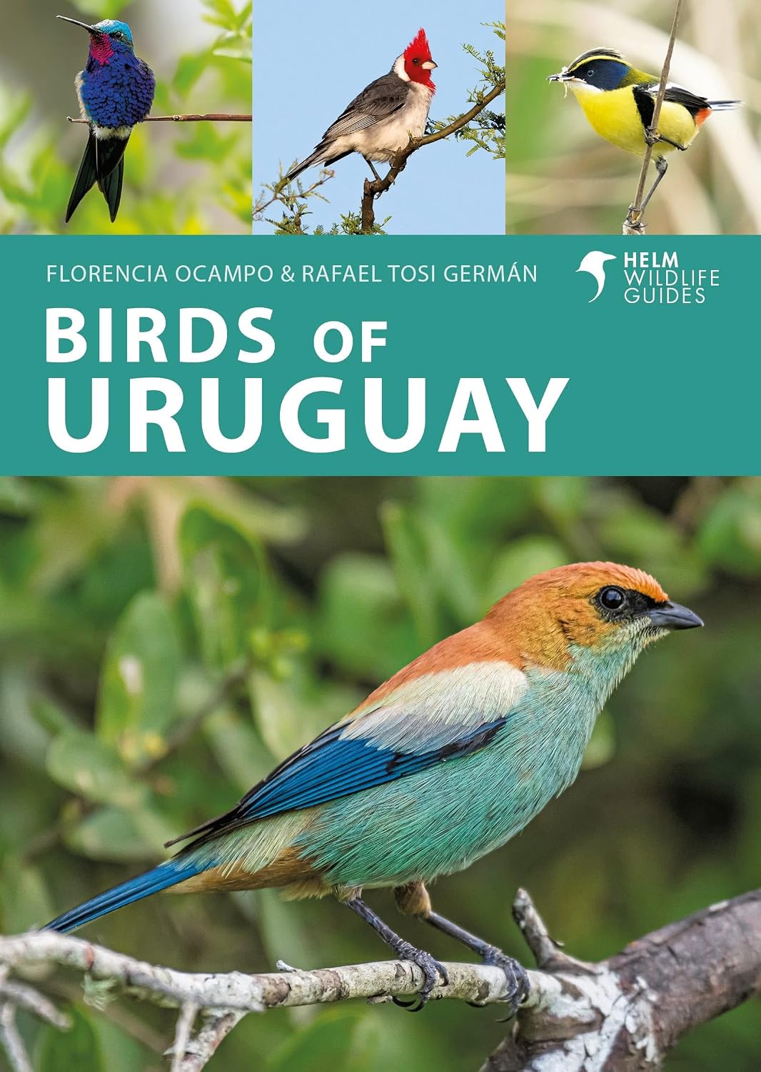 capítulo por capítulo baixar Birds of Uruguay (Helm Wildlife Guides) (English Edition)