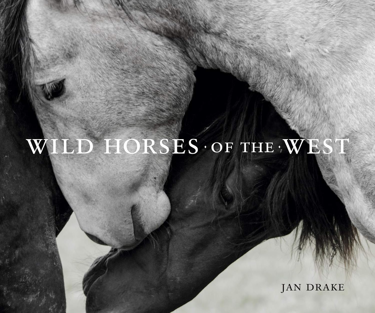 ler totalmente Wild Horses of the West