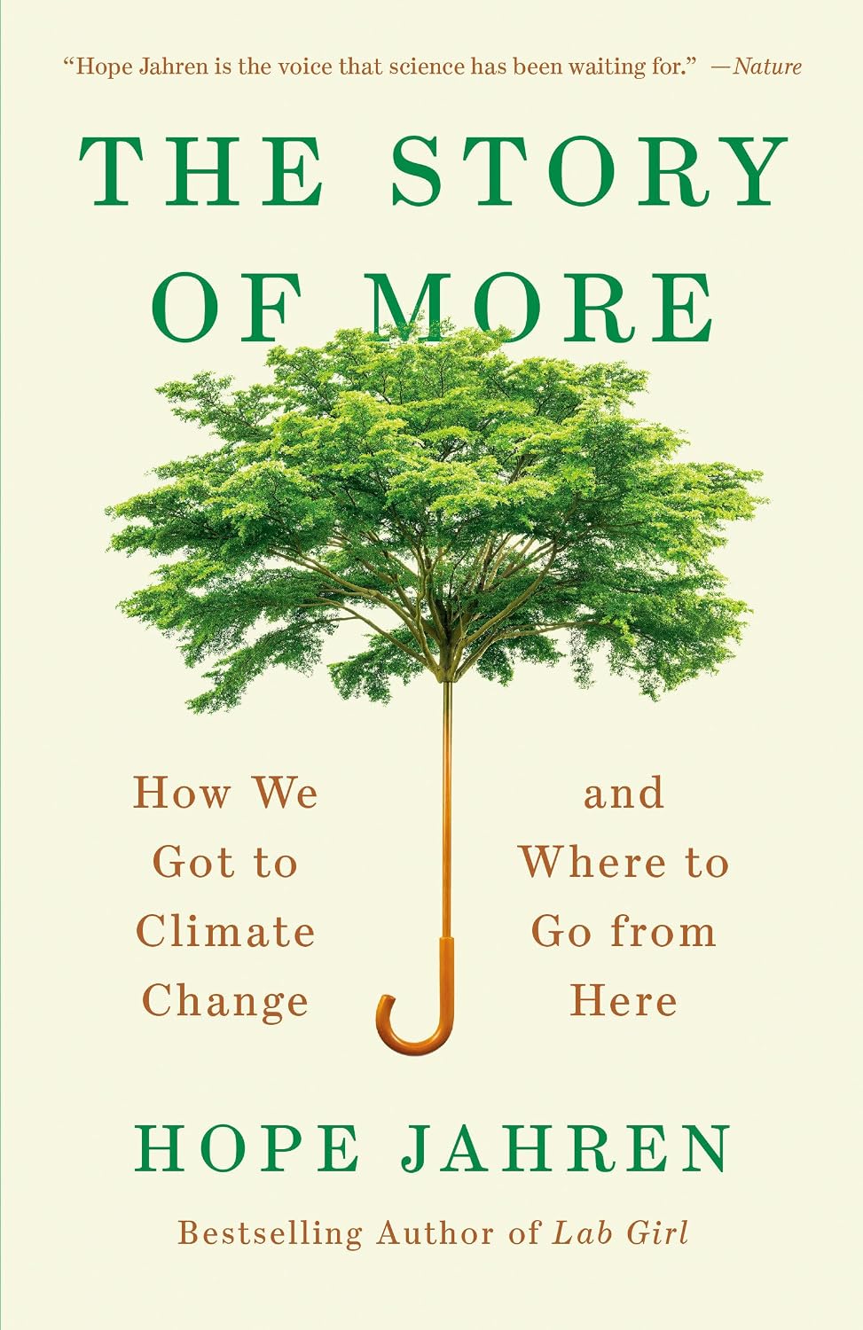 The Story of More: How We Got to Climate Change and Where to Go from Here baixar o livro de graça
