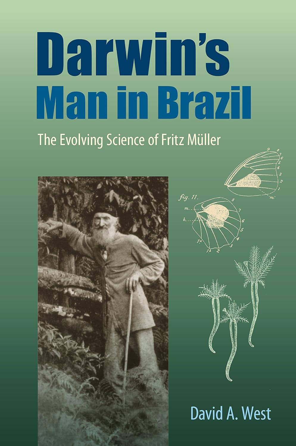 Darwin's Man in Brazil: The Evolving Science of Fritz Müller (English Edition) baixar o livro de graça