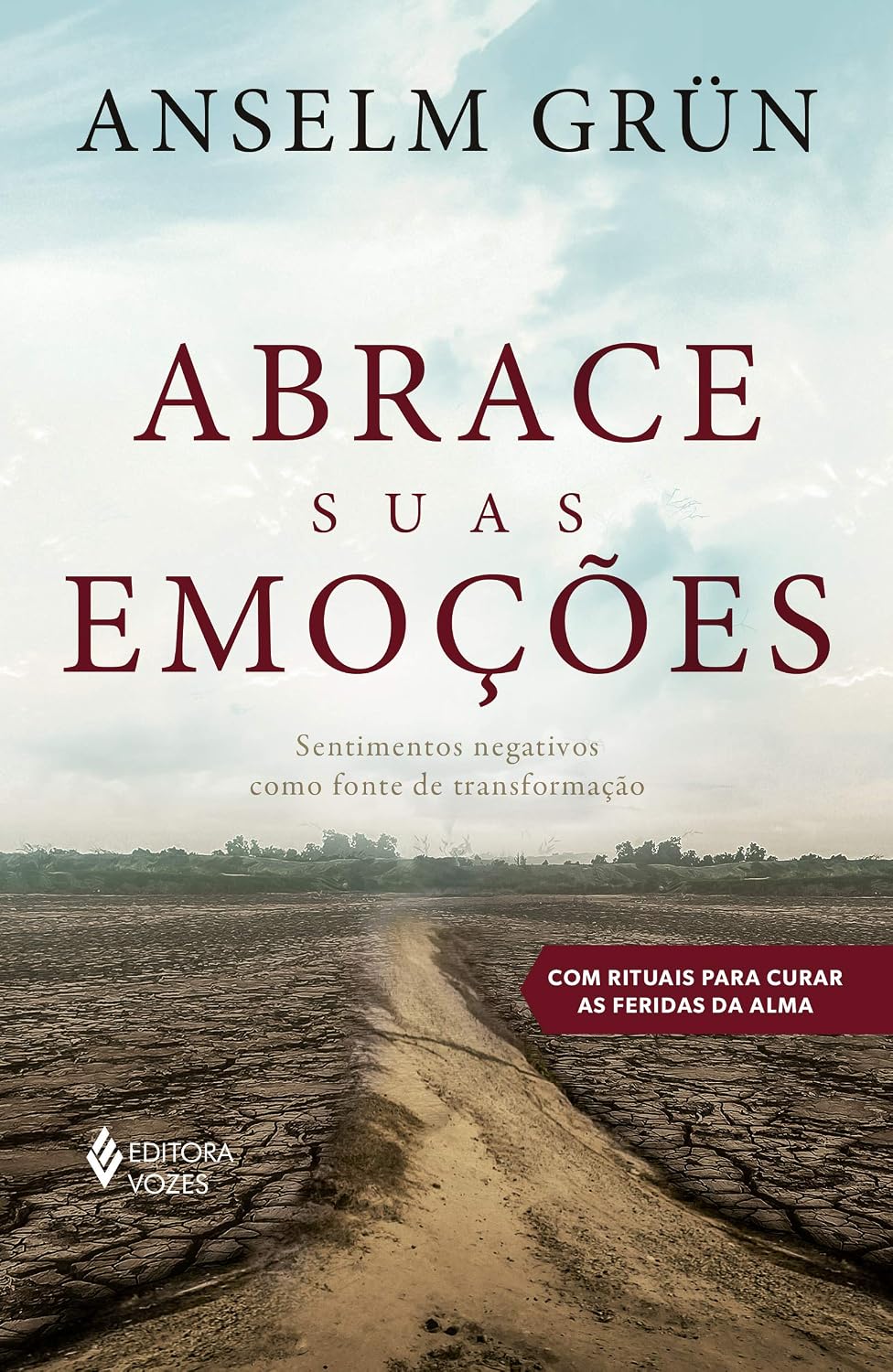 Abrace suas emoções: Sentimentos negativos como fonte de transformação baixar livro de graça
