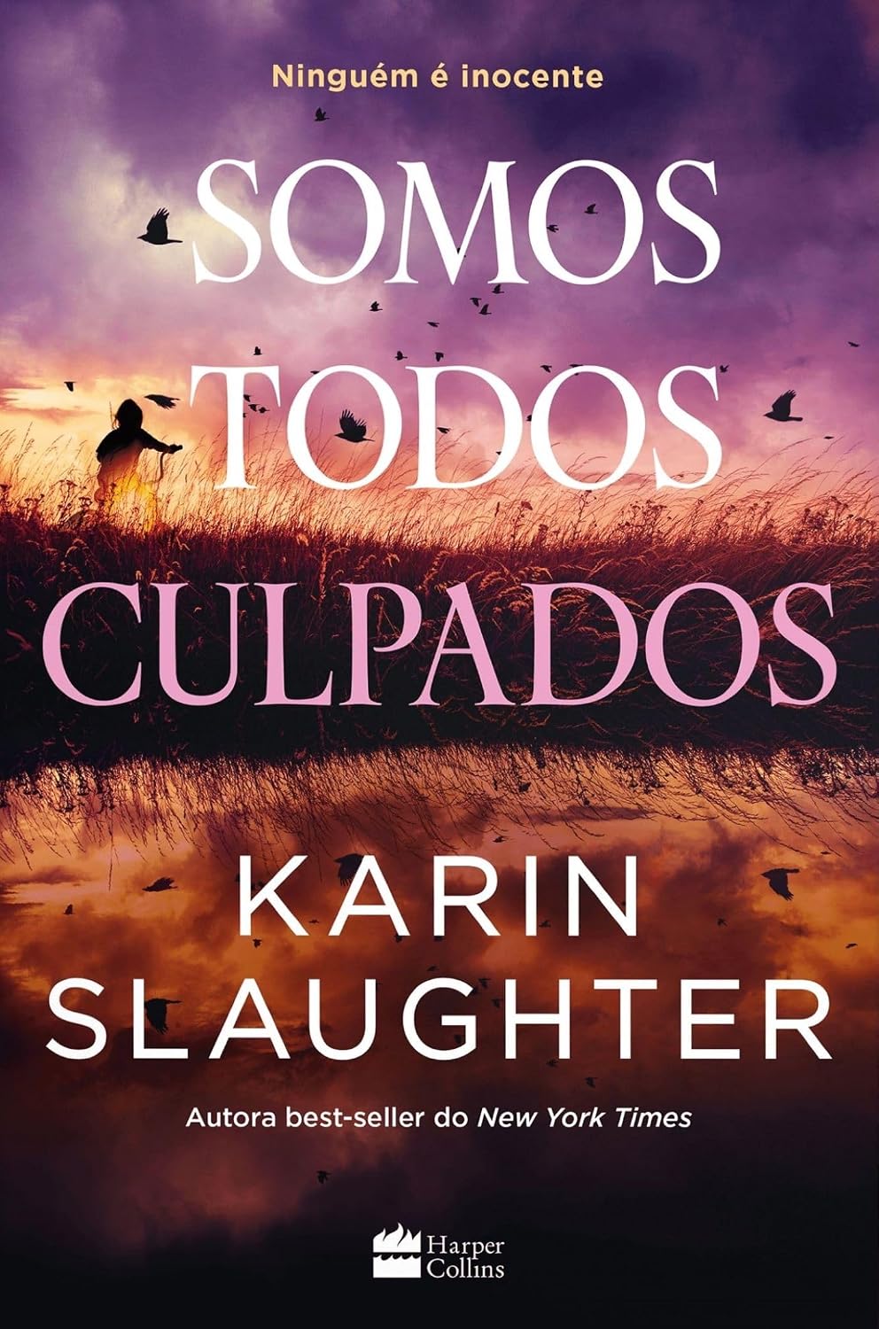 Somos todos culpados – Um thriller da autora best-seller Karin Slaughter (série North Falls) baixar livro de graça