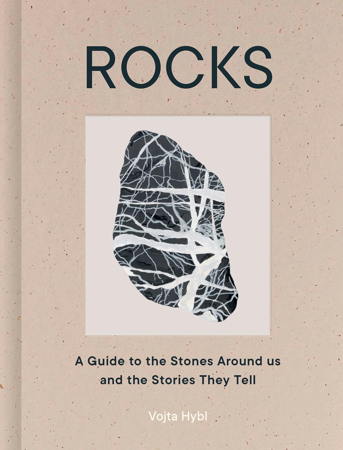 capítulo por capítulo baixar Rocks: A Guide to the Stones Around Us and the Stories They Tell