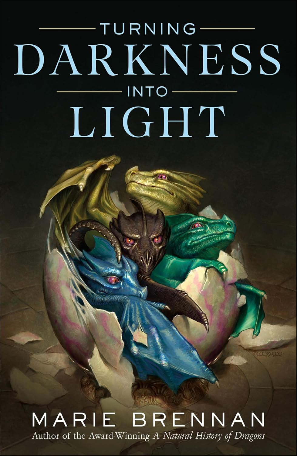 capítulo por capítulo baixar Turning Darkness into Light (English Edition)