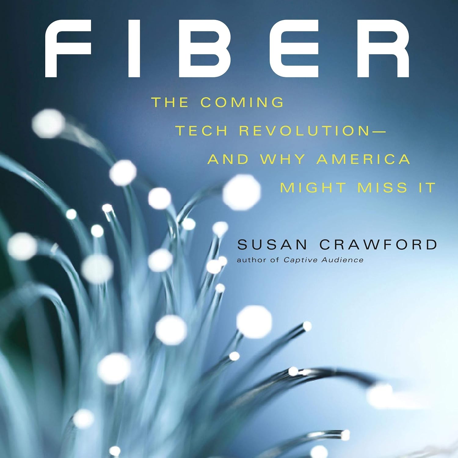 Fiber: The Coming Tech Revolution - and Why America Might Miss It baixar o livro de graça