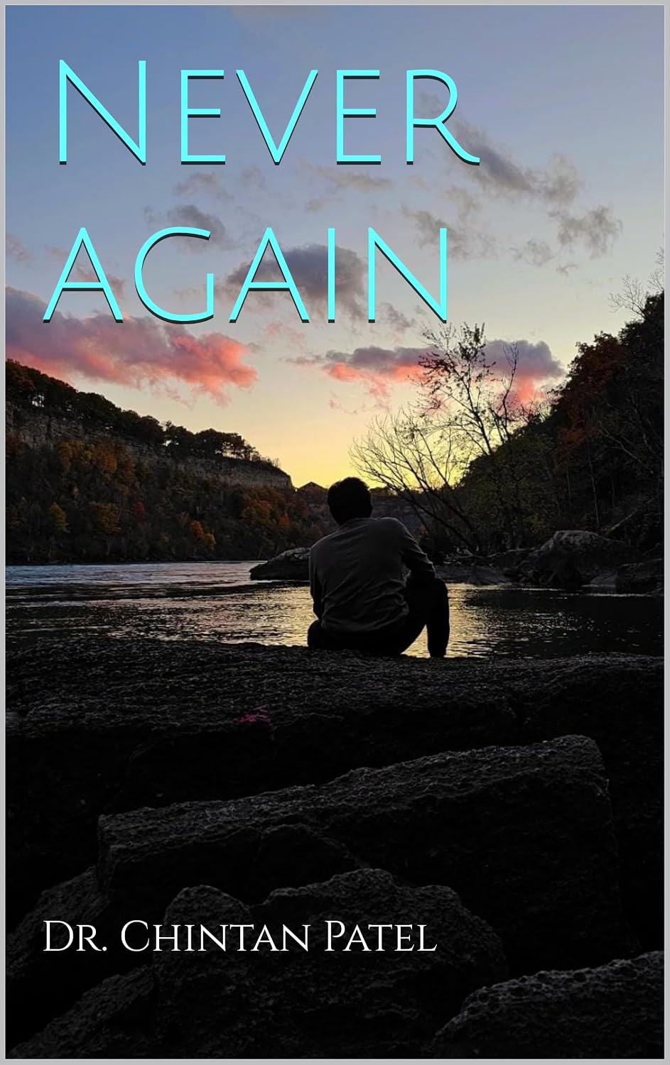 ler totalmente Never again (English Edition)