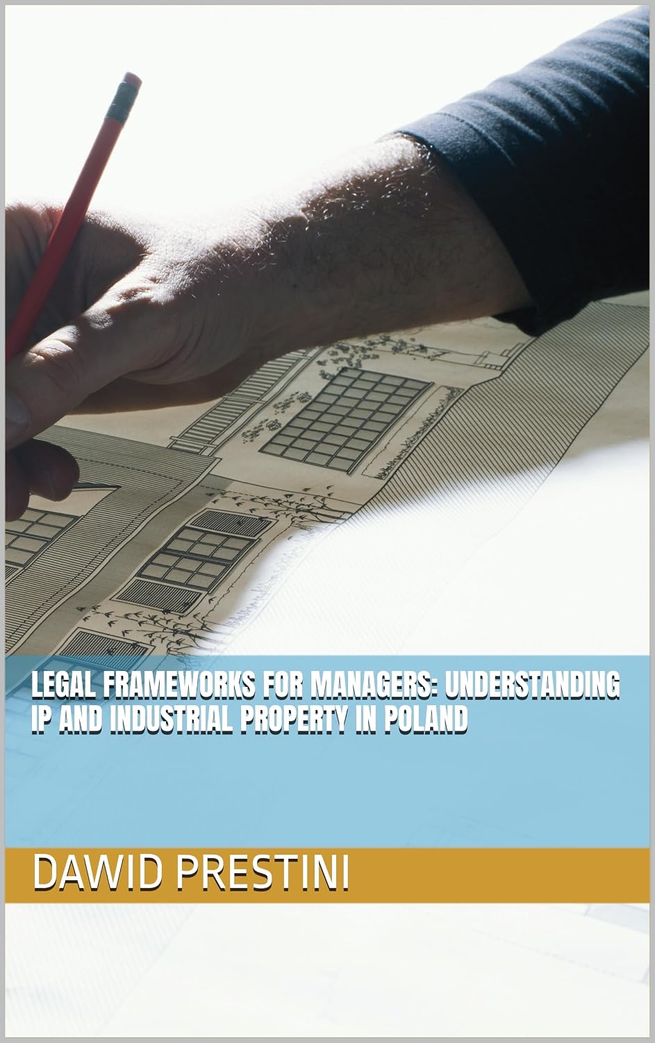 Legal Frameworks for Managers: Understanding IP and Industrial Property in Poland (English Edition) baixar livro de graça