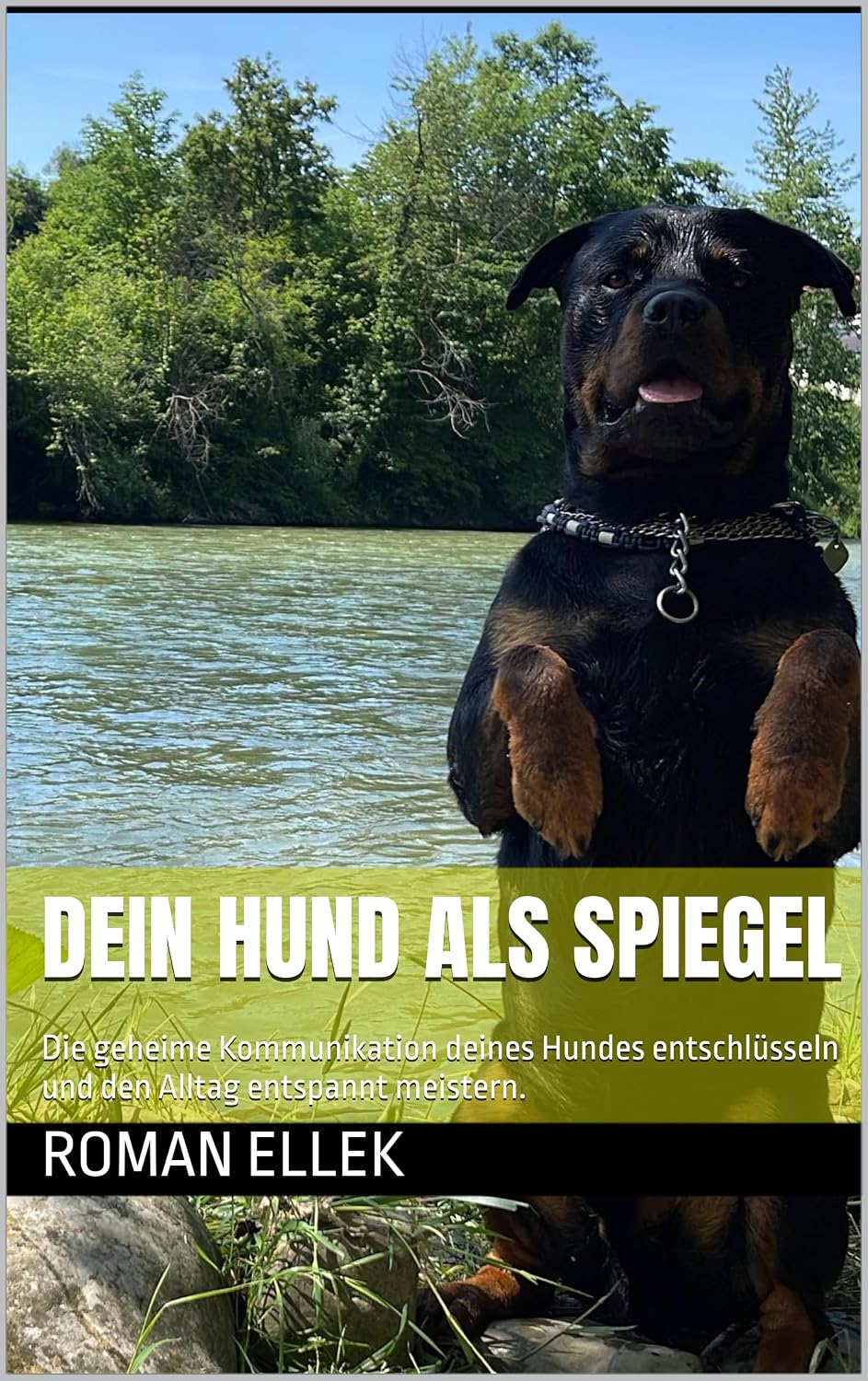 capítulo por capítulo baixar Dein Hund als Spiegel: Die geheime Kommunikation deines Hundes entschlüsseln und den Alltag entspannt meistern. (German Edition)