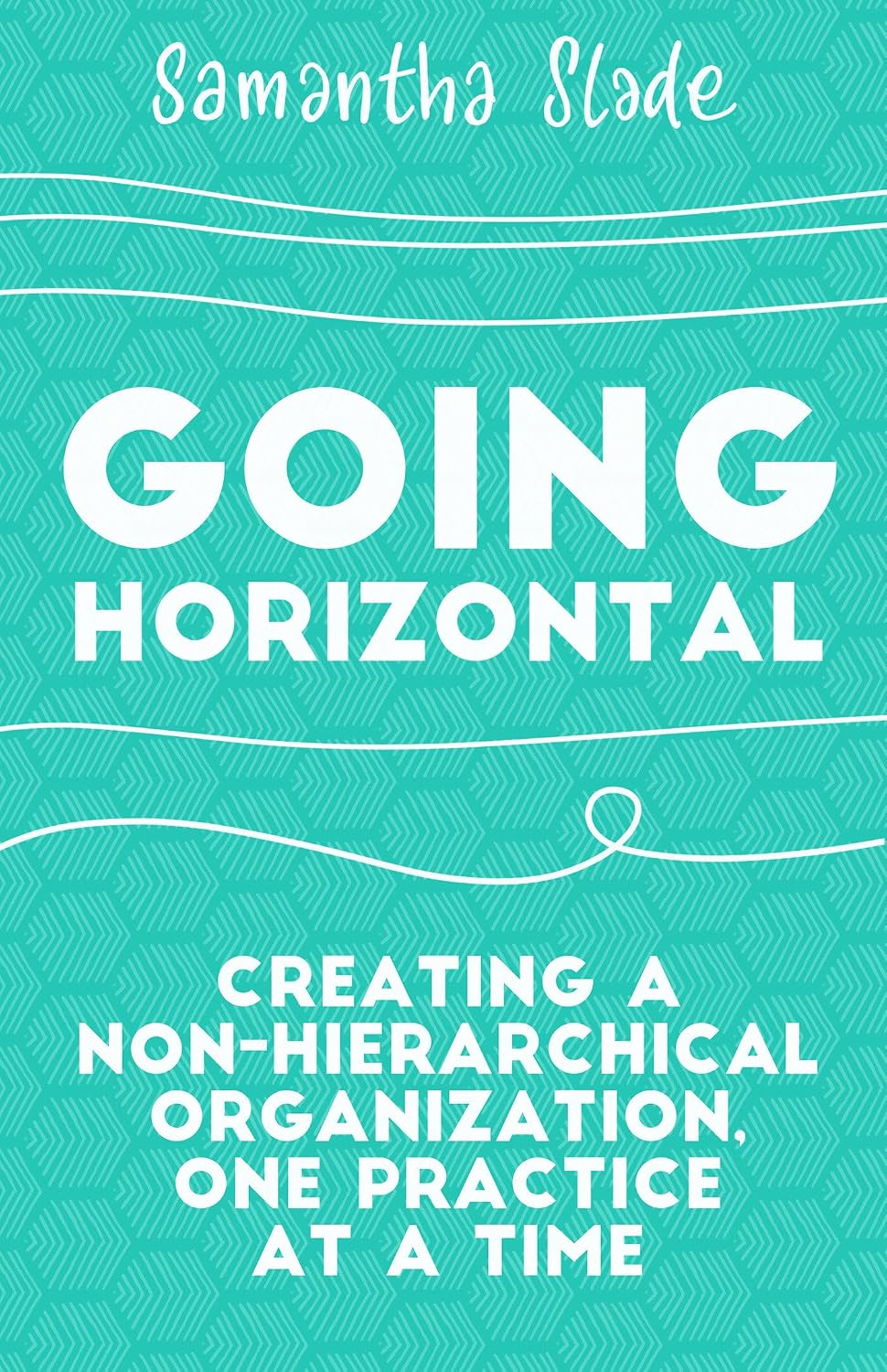 Going Horizontal: Creating a Non-Hierarchical Organization, One Practice at a Time baixar livro de graça