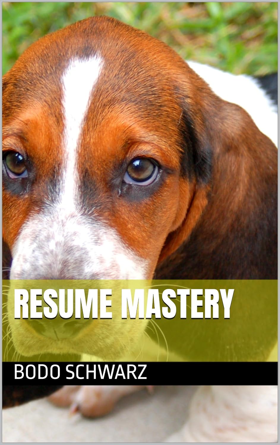 ler totalmente RESUME MASTERY (English Edition)