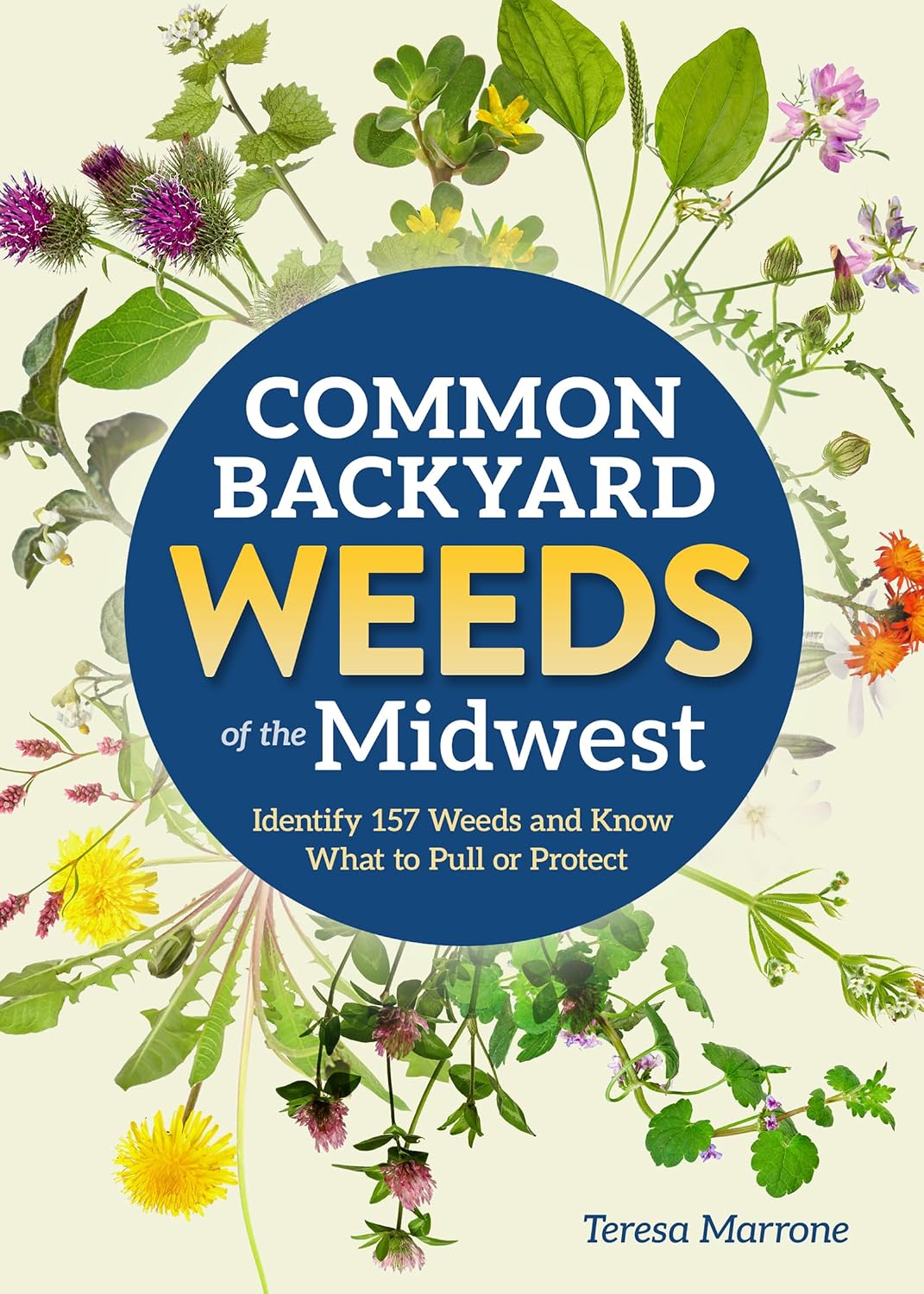 Common Backyard Weeds of the Midwest: Identify 157 Weeds and Know What to Pull or Protect (Backyard Weed Guides) (English Edition)