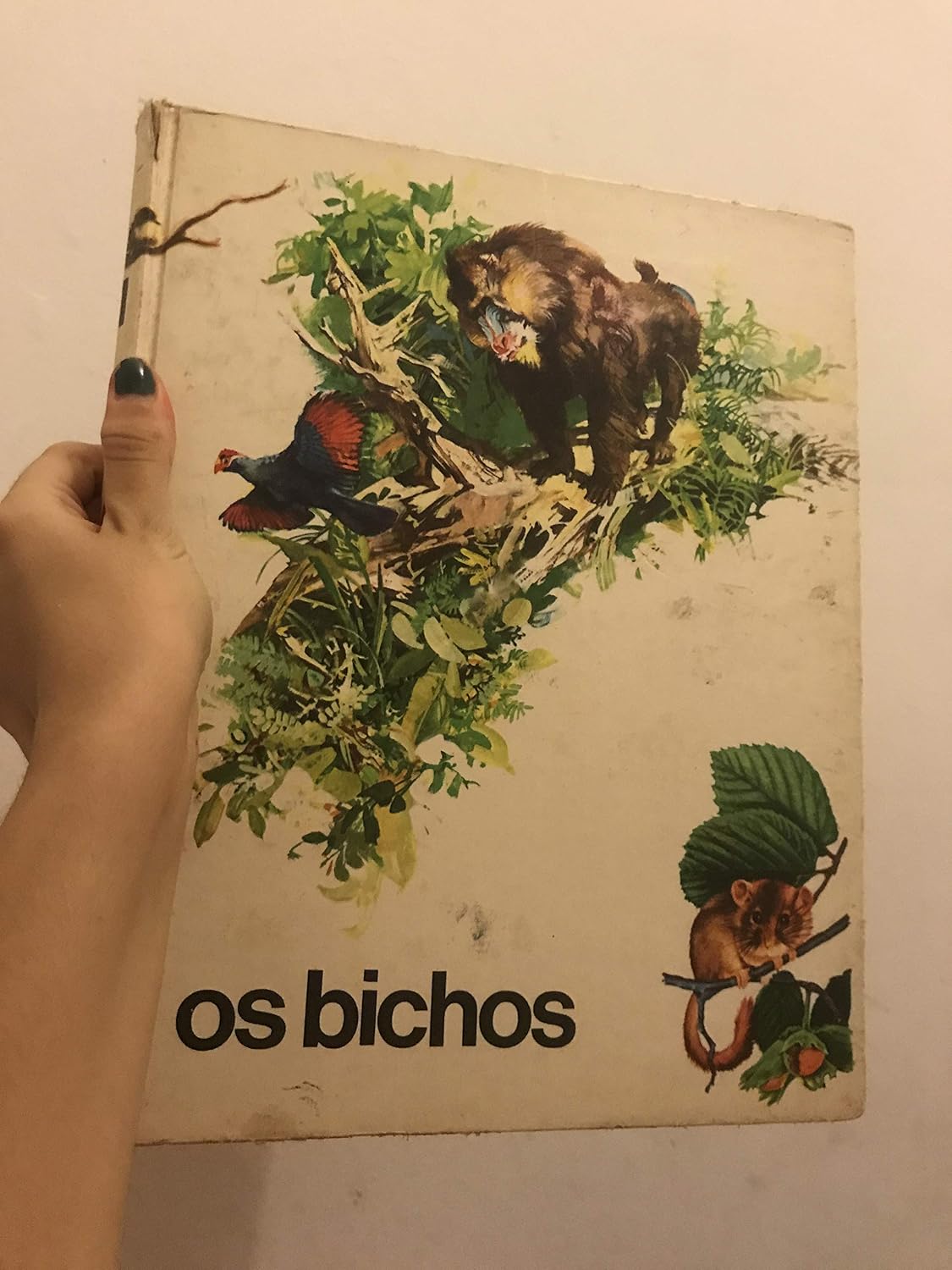 Os Bichos - Volume 1 Abril Cultural baixar livro de graça