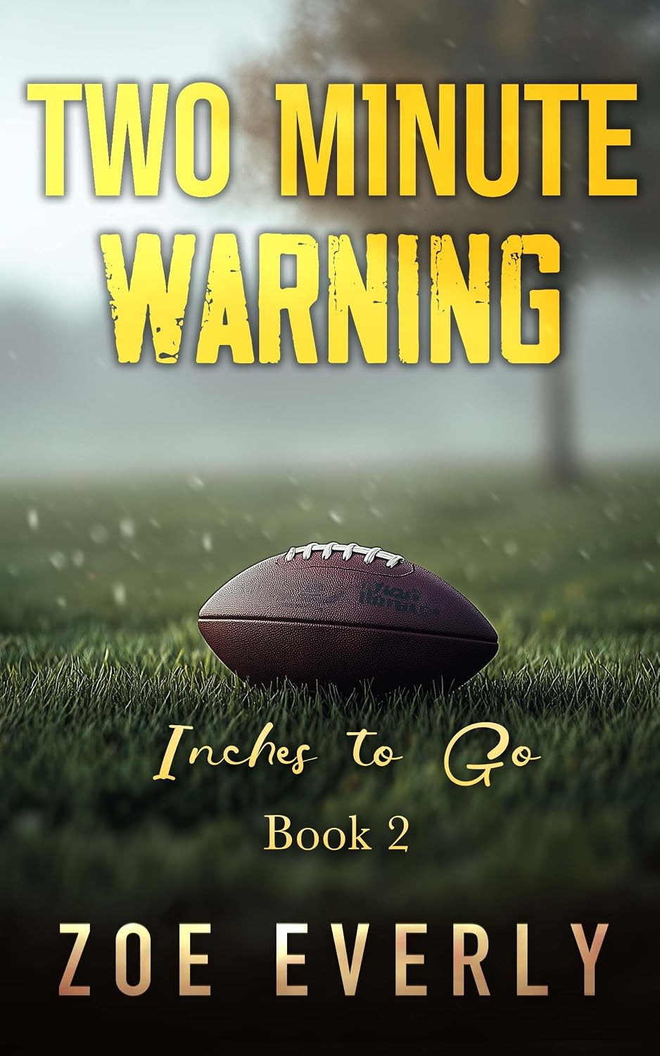 Inches To Go: An Age Gap, Curvy Girl, Single Dad Sports Romance (Two Minute Warning Book 2) (English Edition) baixar livro de graça