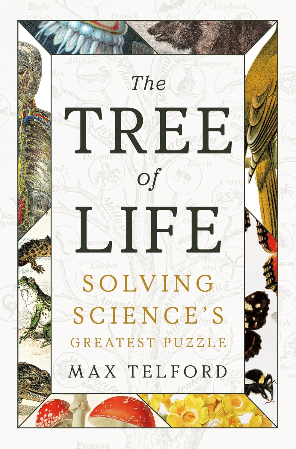 ler totalmente The Tree of Life: Solving Science's Greatest Puzzle