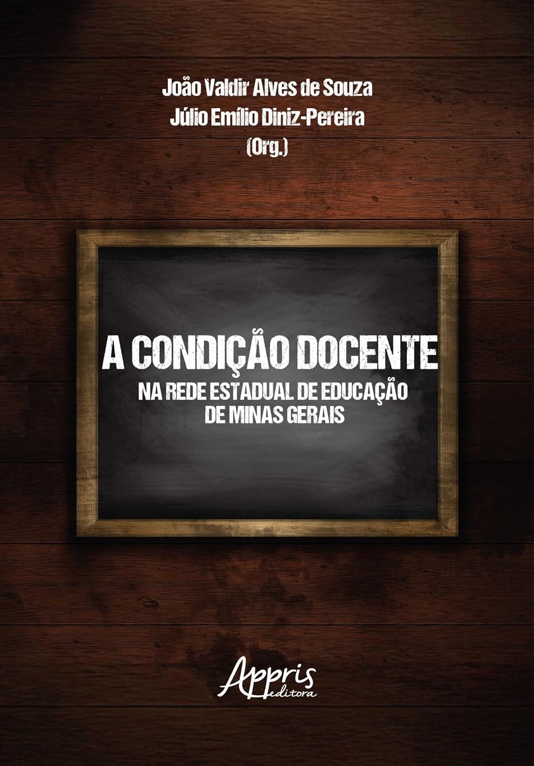 A Condição Docente na Rede Estadual de Educação de Minas Gerais baixar o livro de graça