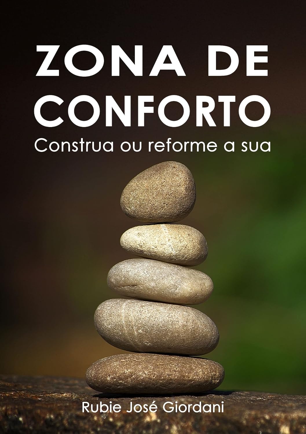 Zona de Conforto: Construa ou Reforme a sua baixar livro de graça