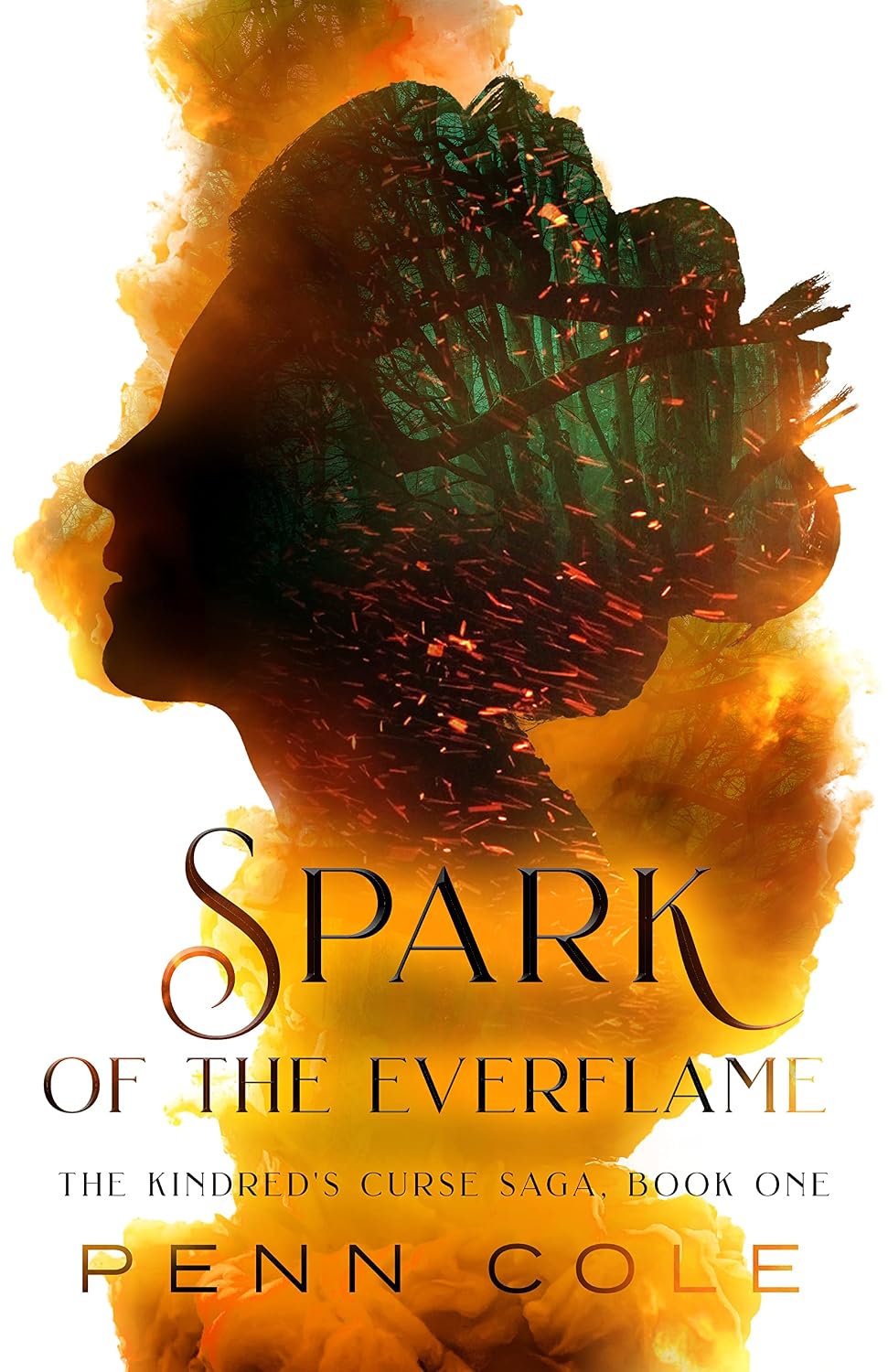 ler totalmente Spark of the Everflame: The Kindred's Curse Saga, Book One (English Edition)