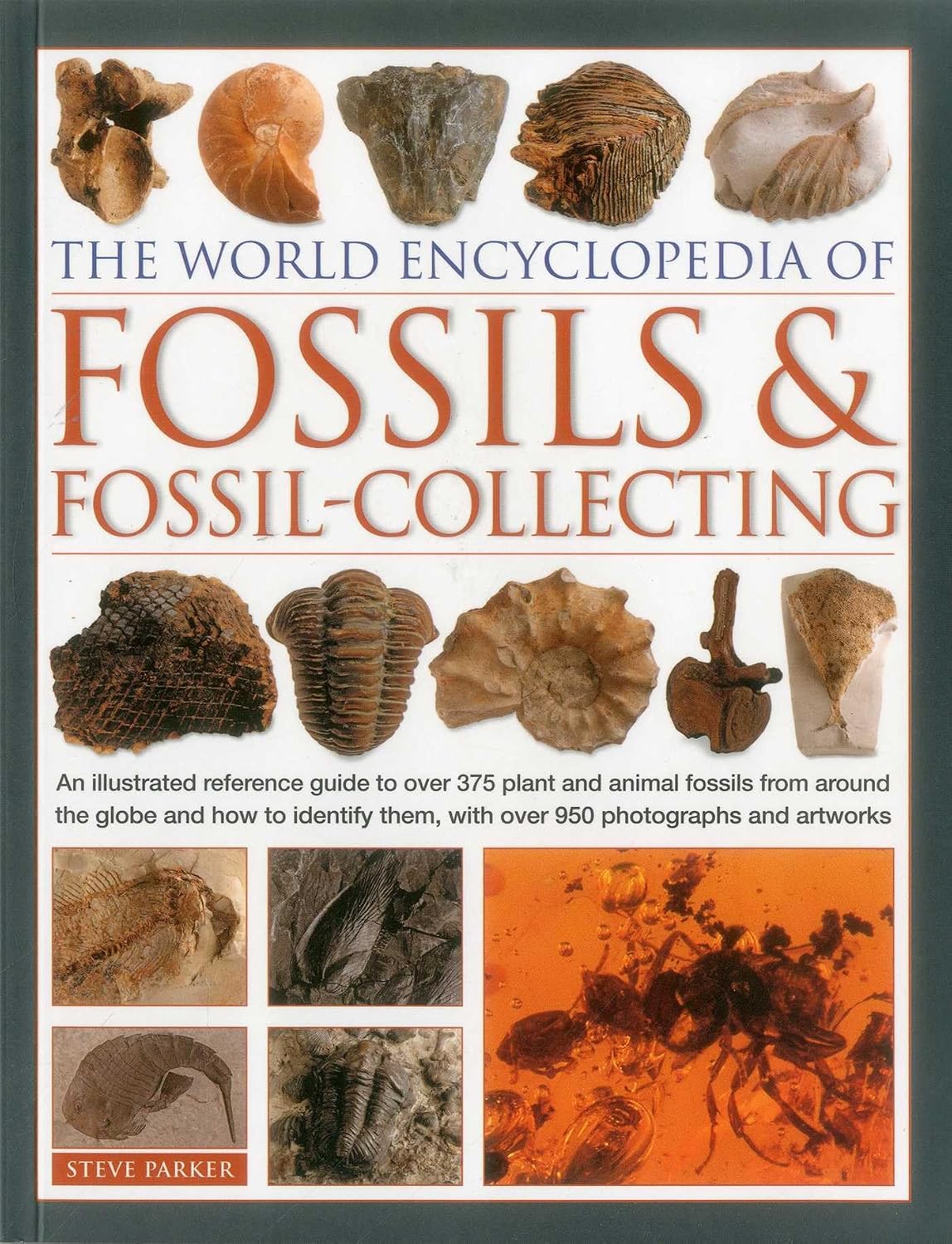 ler totalmente The World Encyclopedia of Fossils & Fossil-Collecting:: An Illustrated Reference Guide To Over 375 Plant And Animal Fossils From Around The Globe And... Them, With Over 950 Photographs And Artworks
