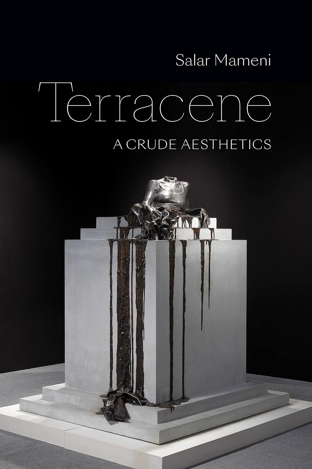 ler totalmente Terracene: A Crude Aesthetics (English Edition)