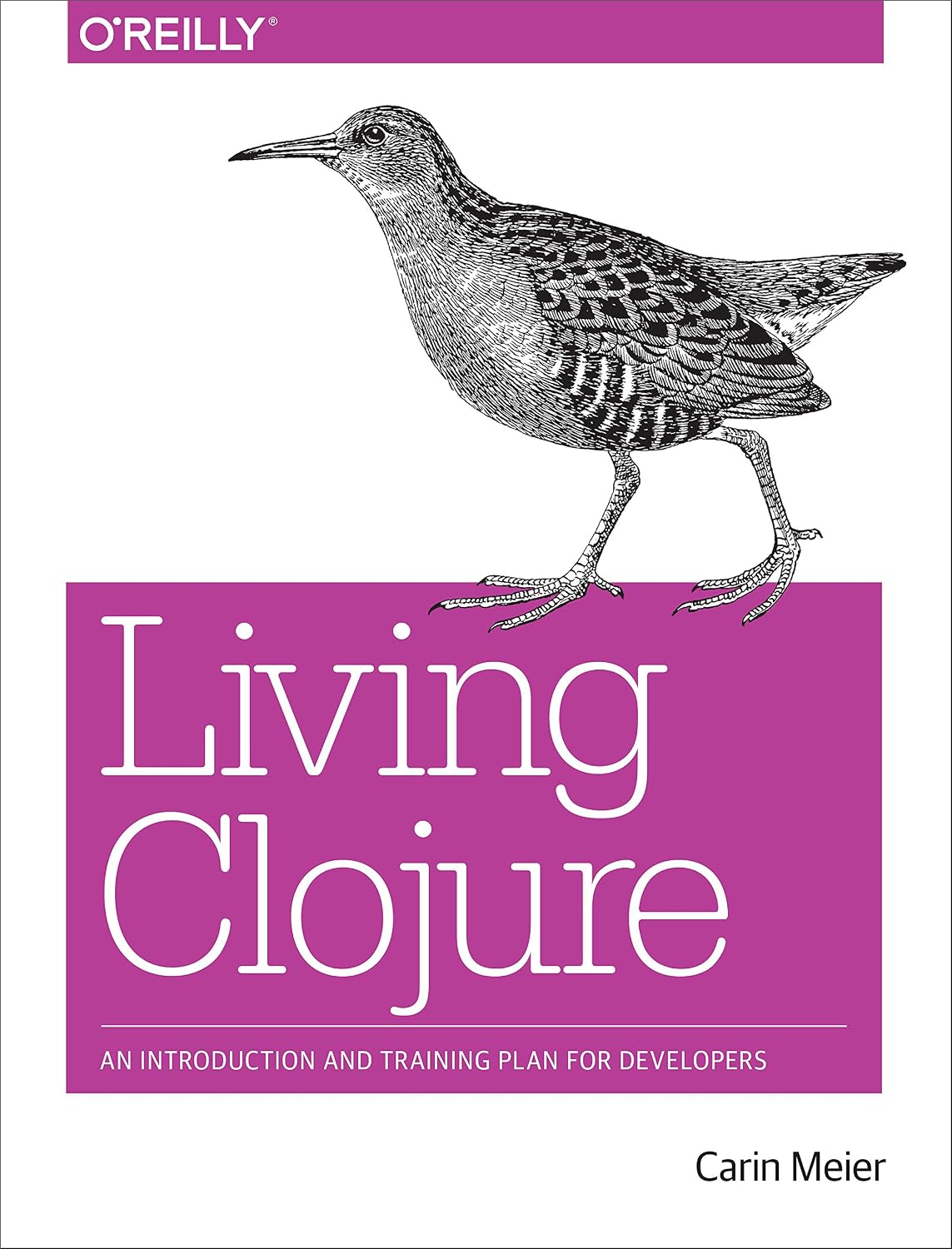 capítulo por capítulo baixar Living Clojure: An Introduction and Training Plan for Developers