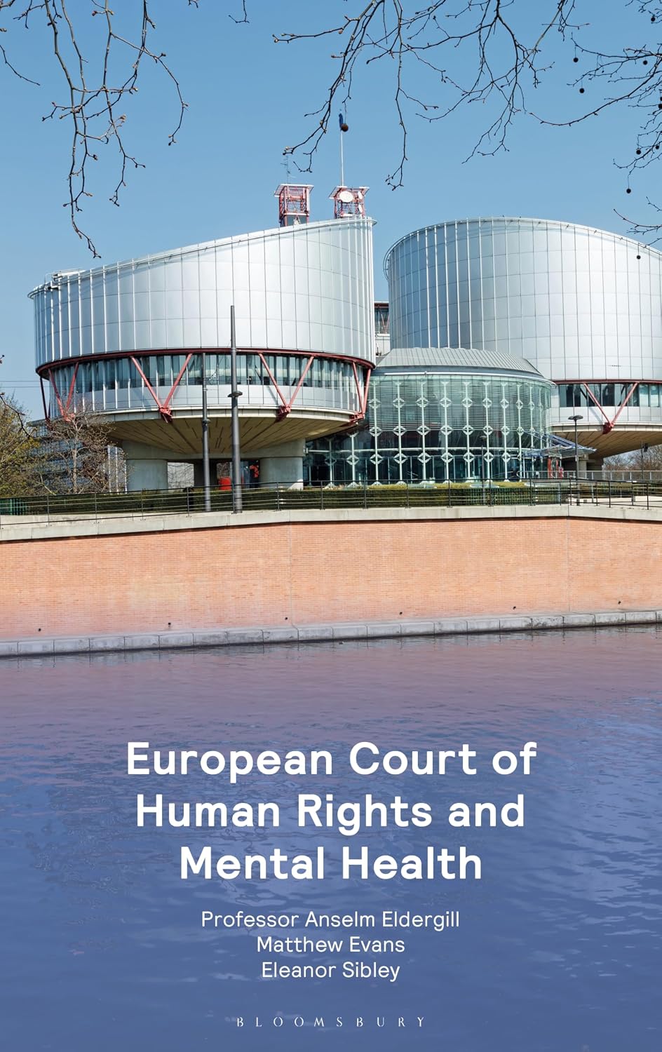 European Court of Human Rights and Mental Health (English Edition) baixar o livro de graça